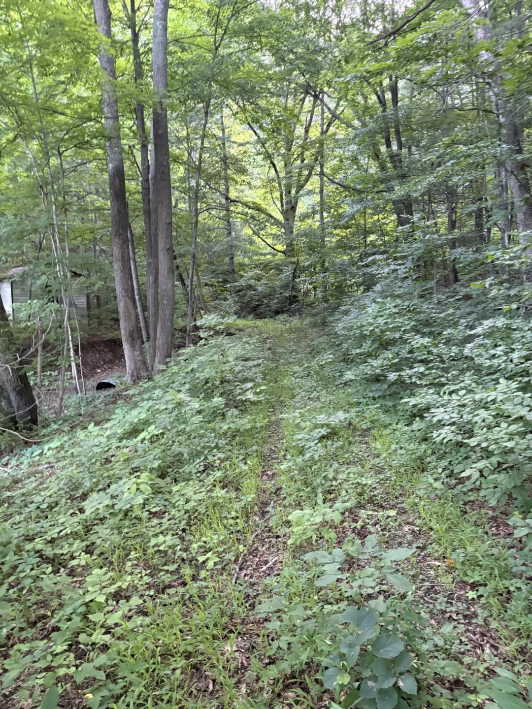 1604 Hoke RD - Photo 5