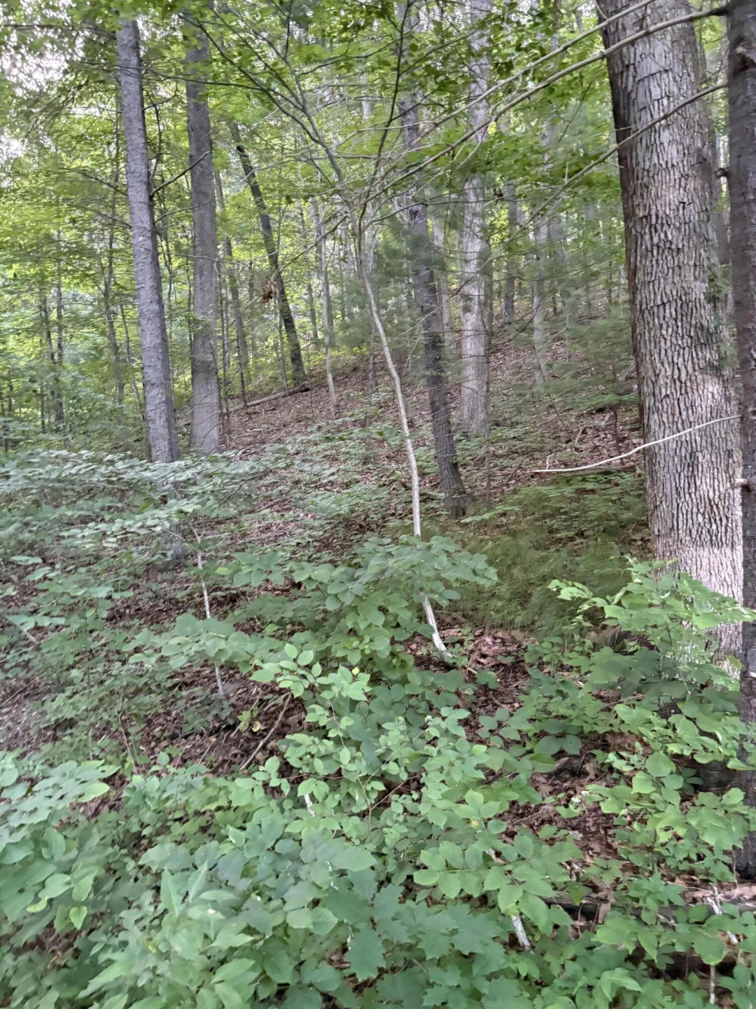 1604 Hoke RD - Photo 6