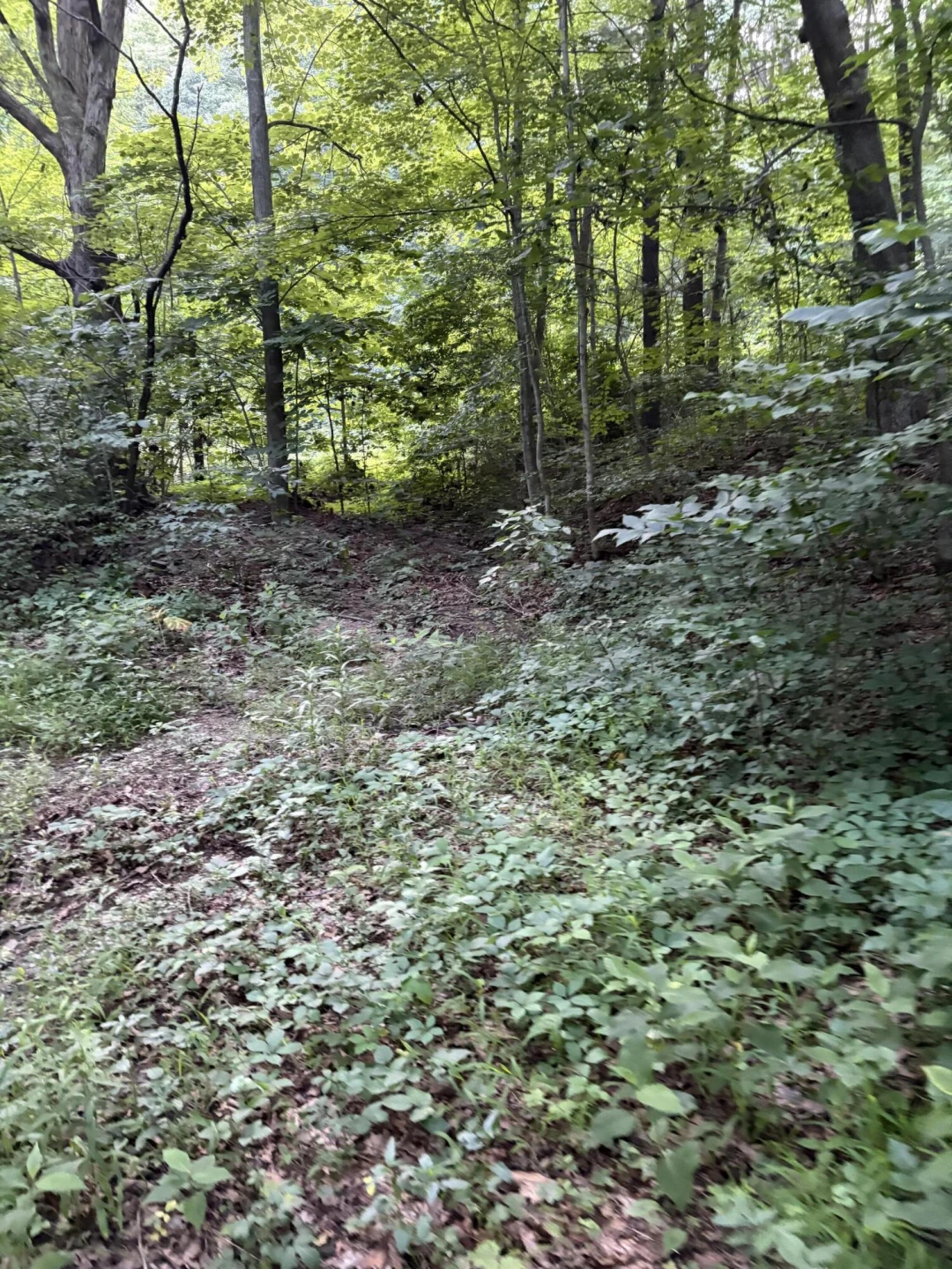 1604 Hoke RD - Photo 7