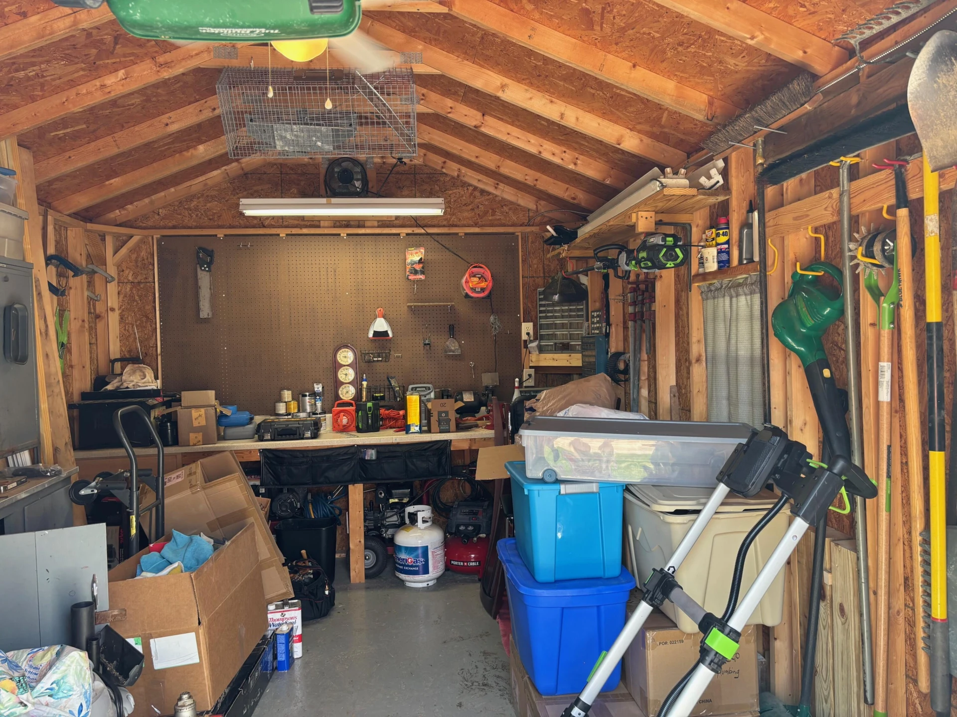 6356 Bunker LN - Photo 4