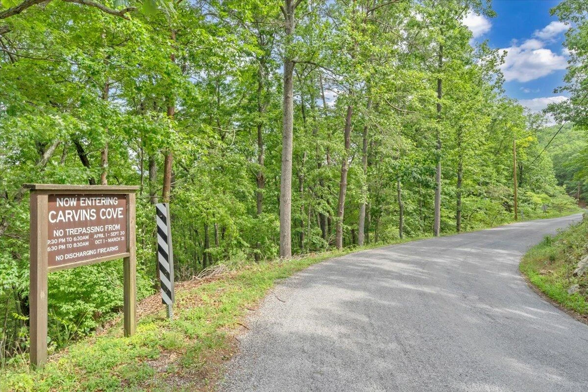 37 Dancing Tree LN - Photo 42