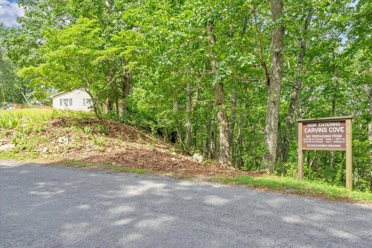 37 Dancing Tree LN - Photo 43
