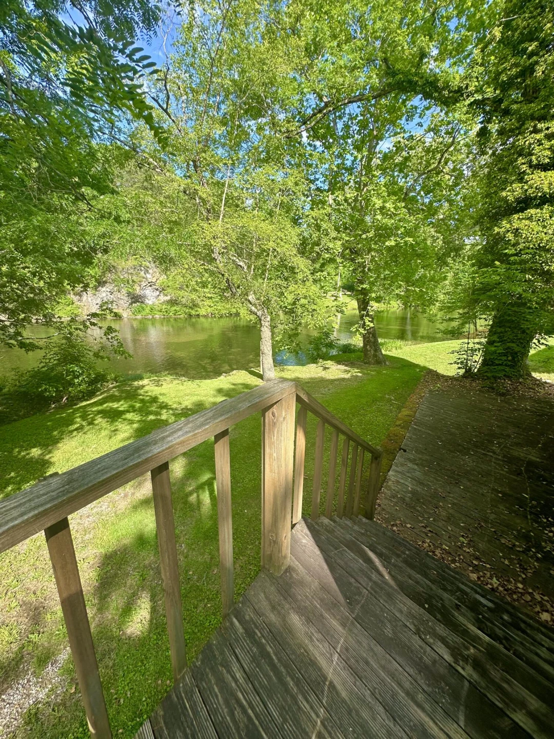 101 Blue Bird LN - Photo 6