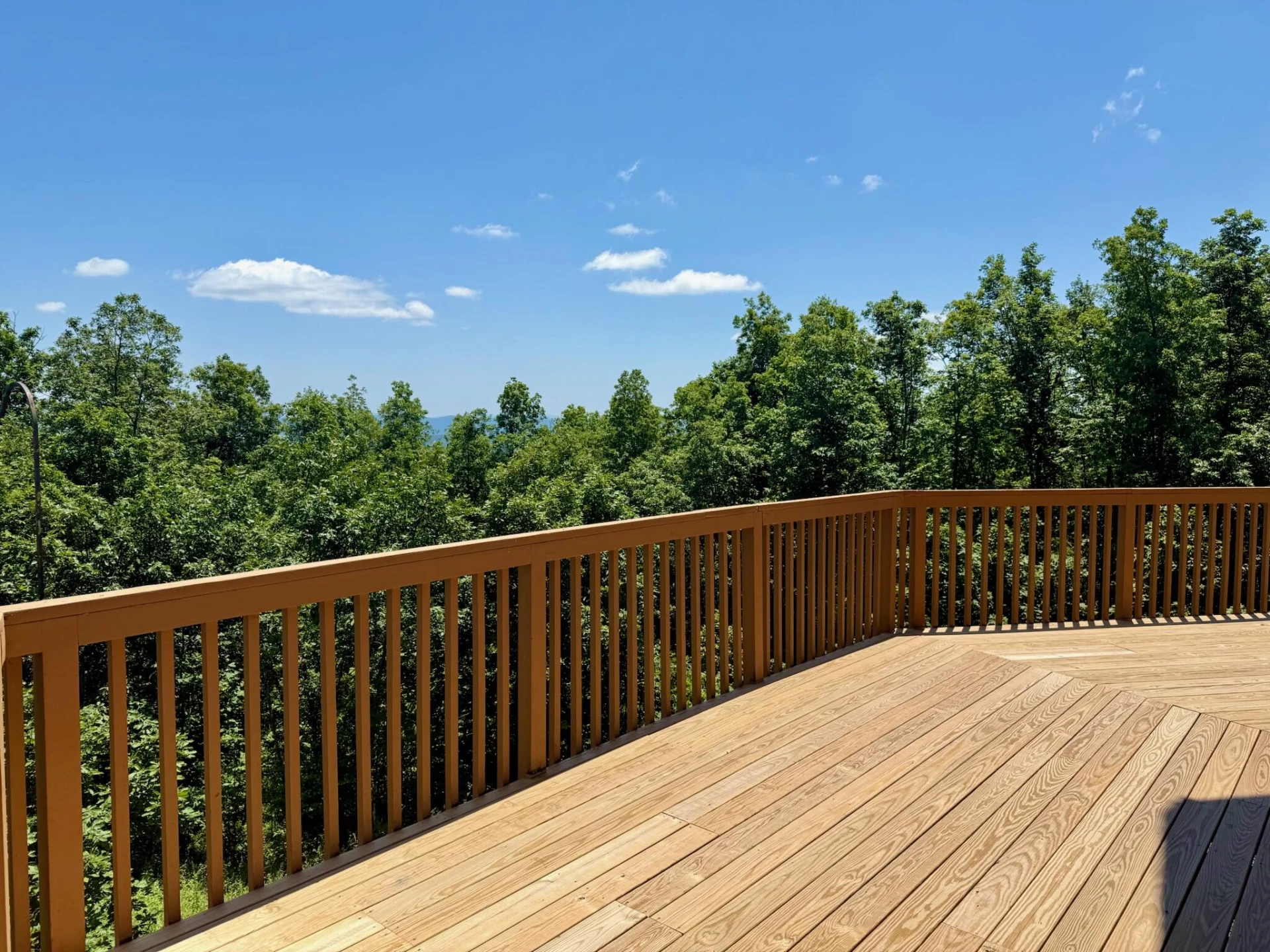 3850 Potts Mountain TRL E - Photo 36