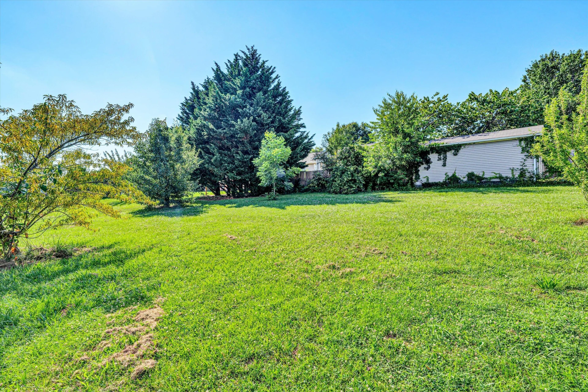 11254 Lee HWY - Photo 48