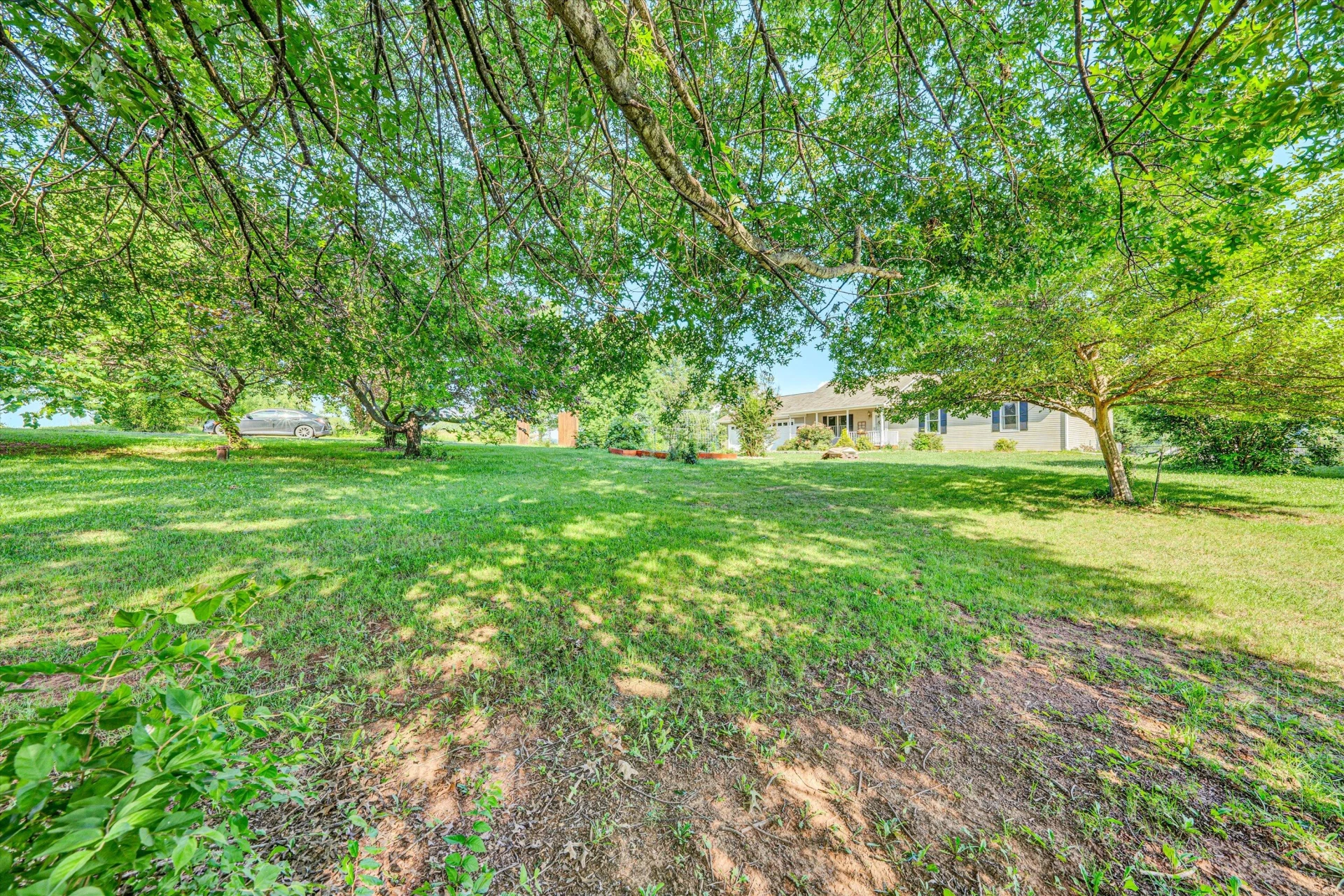 11254 Lee HWY - Photo 49