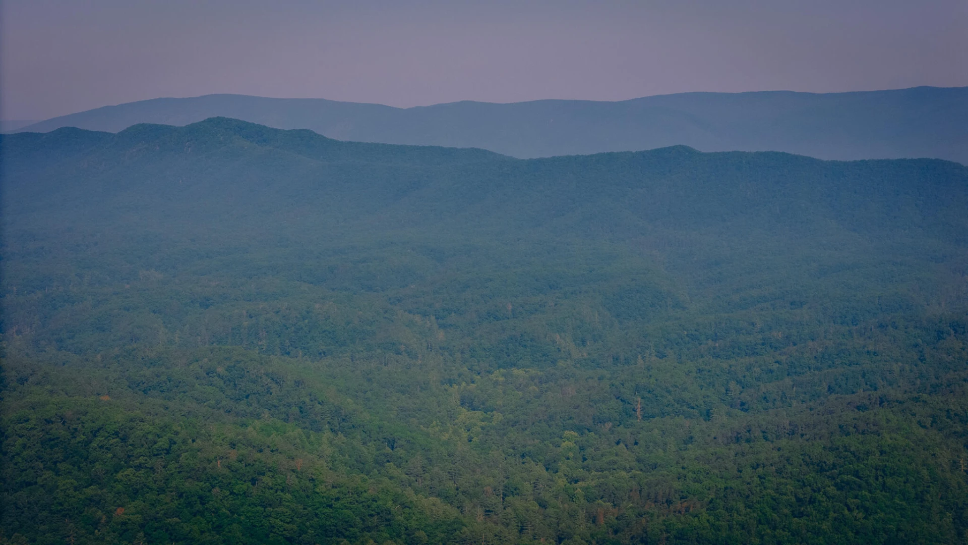 0 Sugar Tree Hollow RD