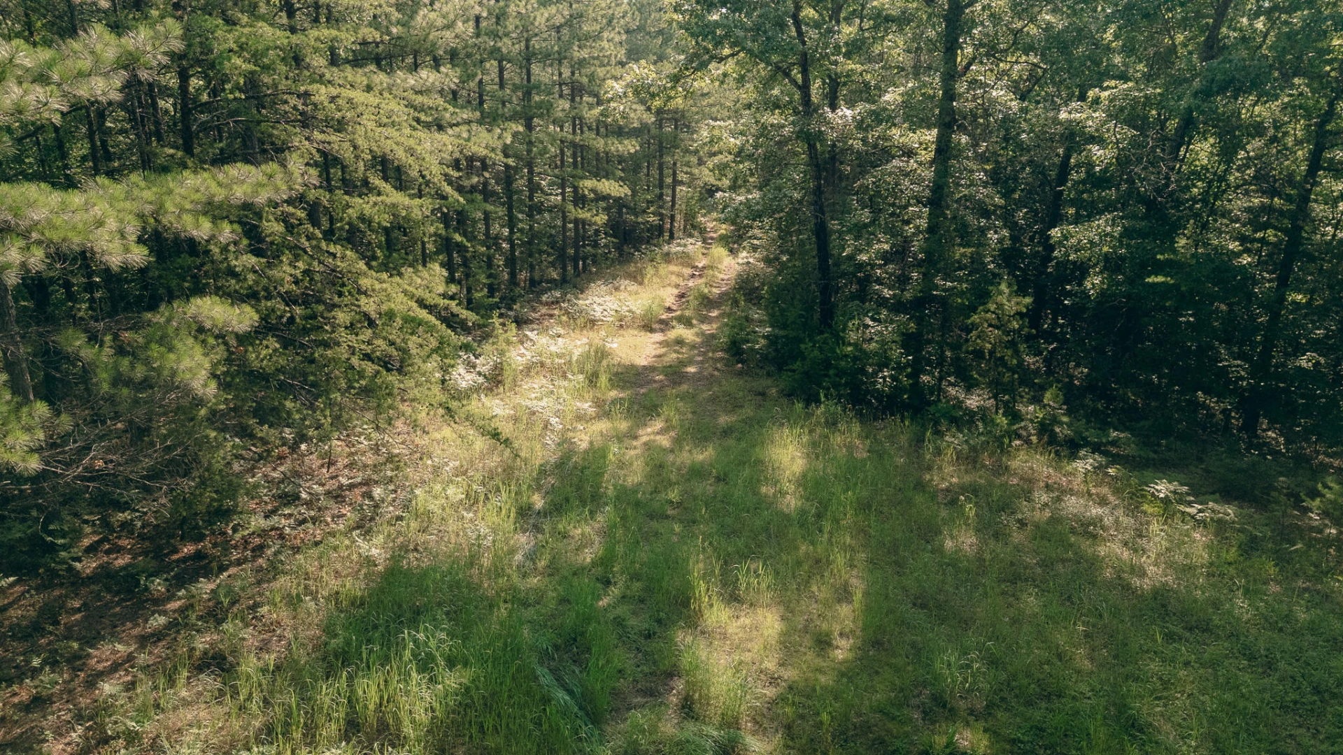 0 Sugar Tree Hollow RD - Photo 14