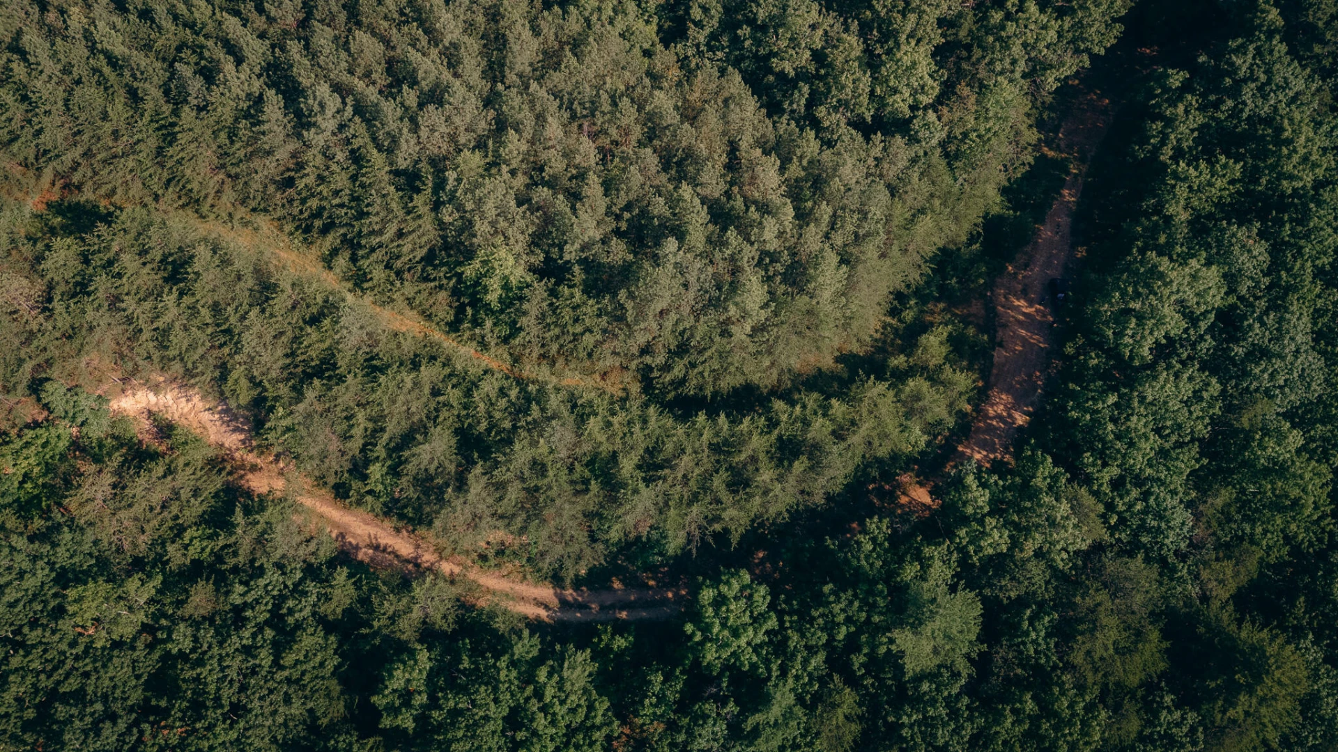 0 Sugar Tree Hollow RD - Photo 16