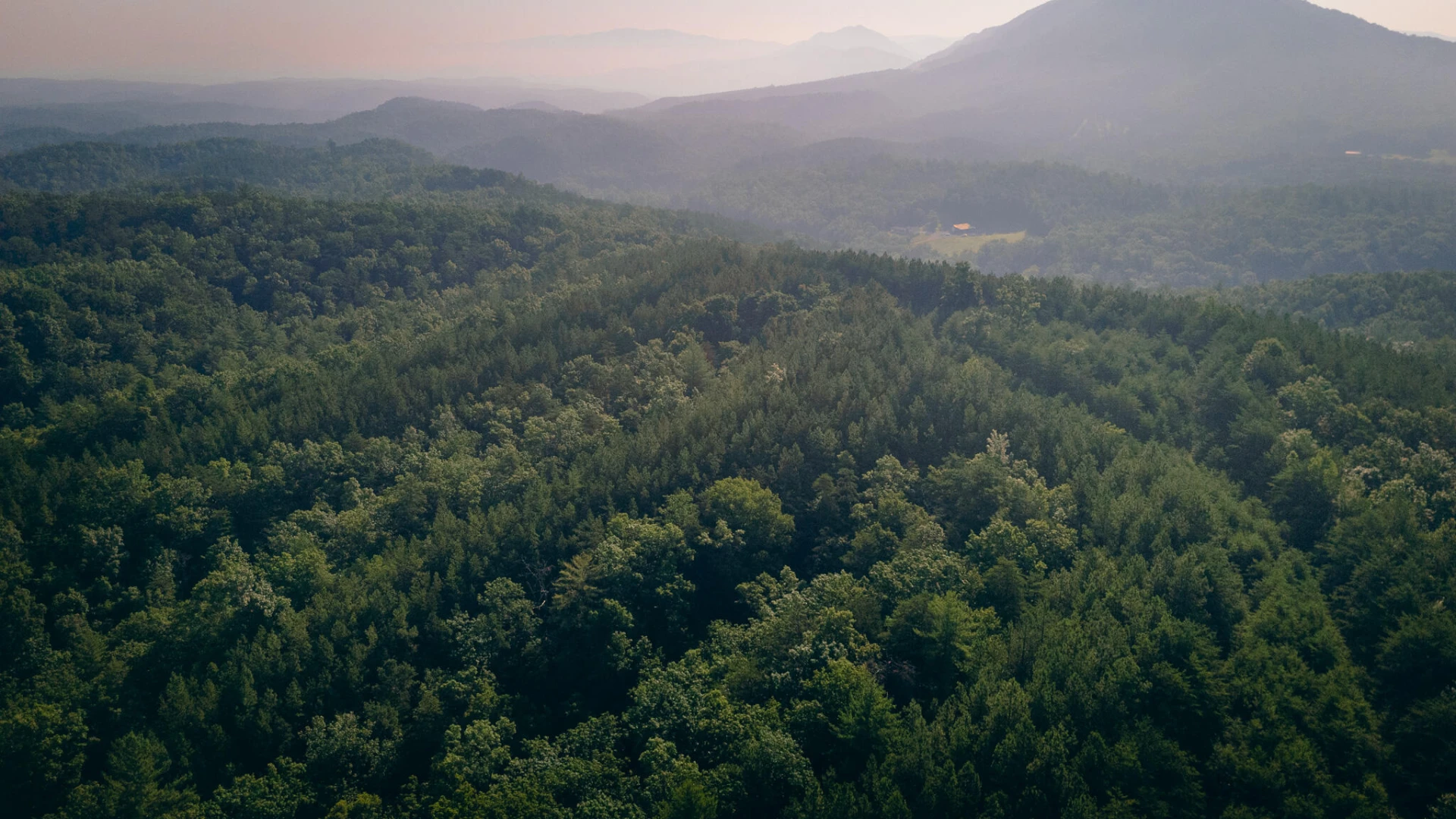 0 Sugar Tree Hollow RD - Photo 17
