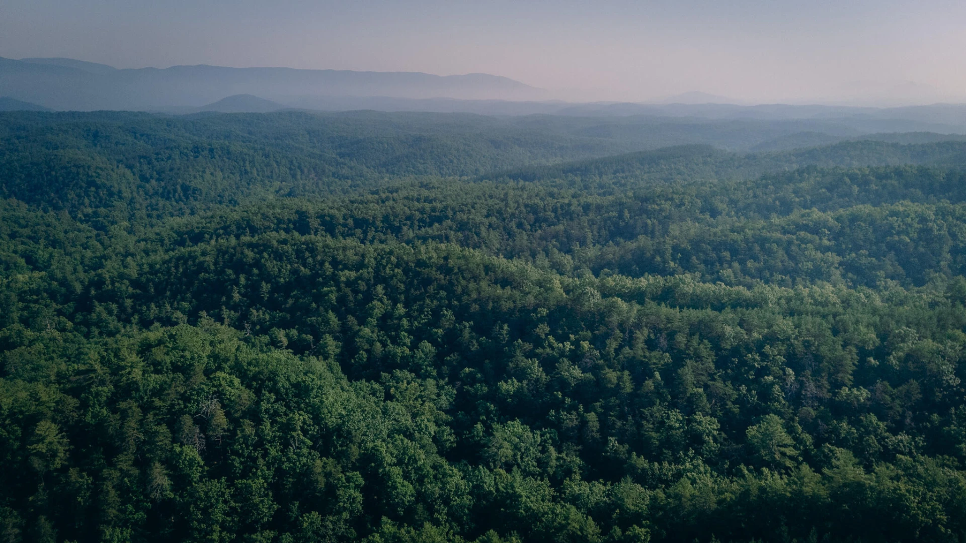 0 Sugar Tree Hollow RD - Photo 18