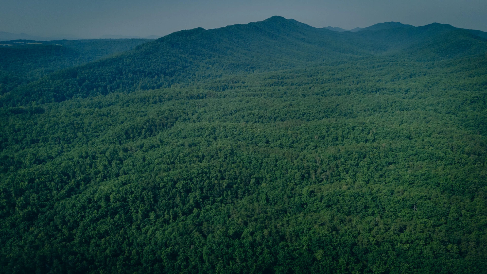 0 Sugar Tree Hollow RD - Photo 2