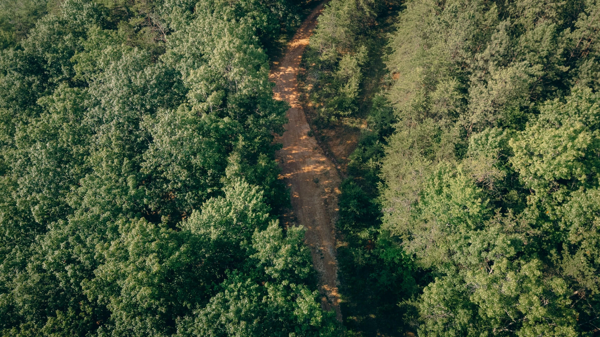 0 Sugar Tree Hollow RD - Photo 20