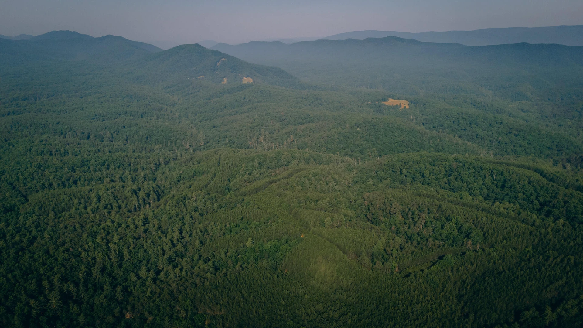 0 Sugar Tree Hollow RD - Photo 22