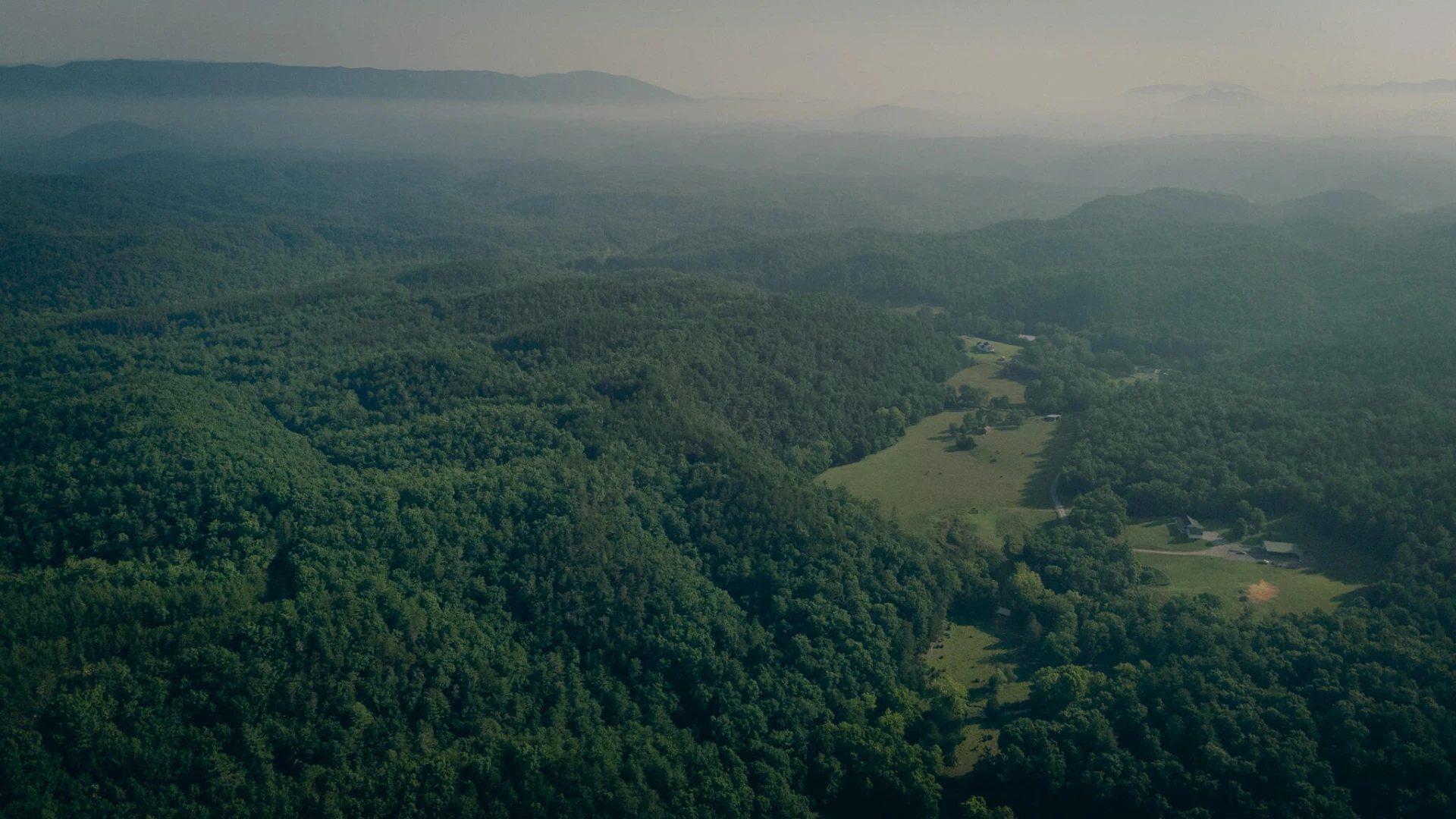 0 Sugar Tree Hollow RD - Photo 23