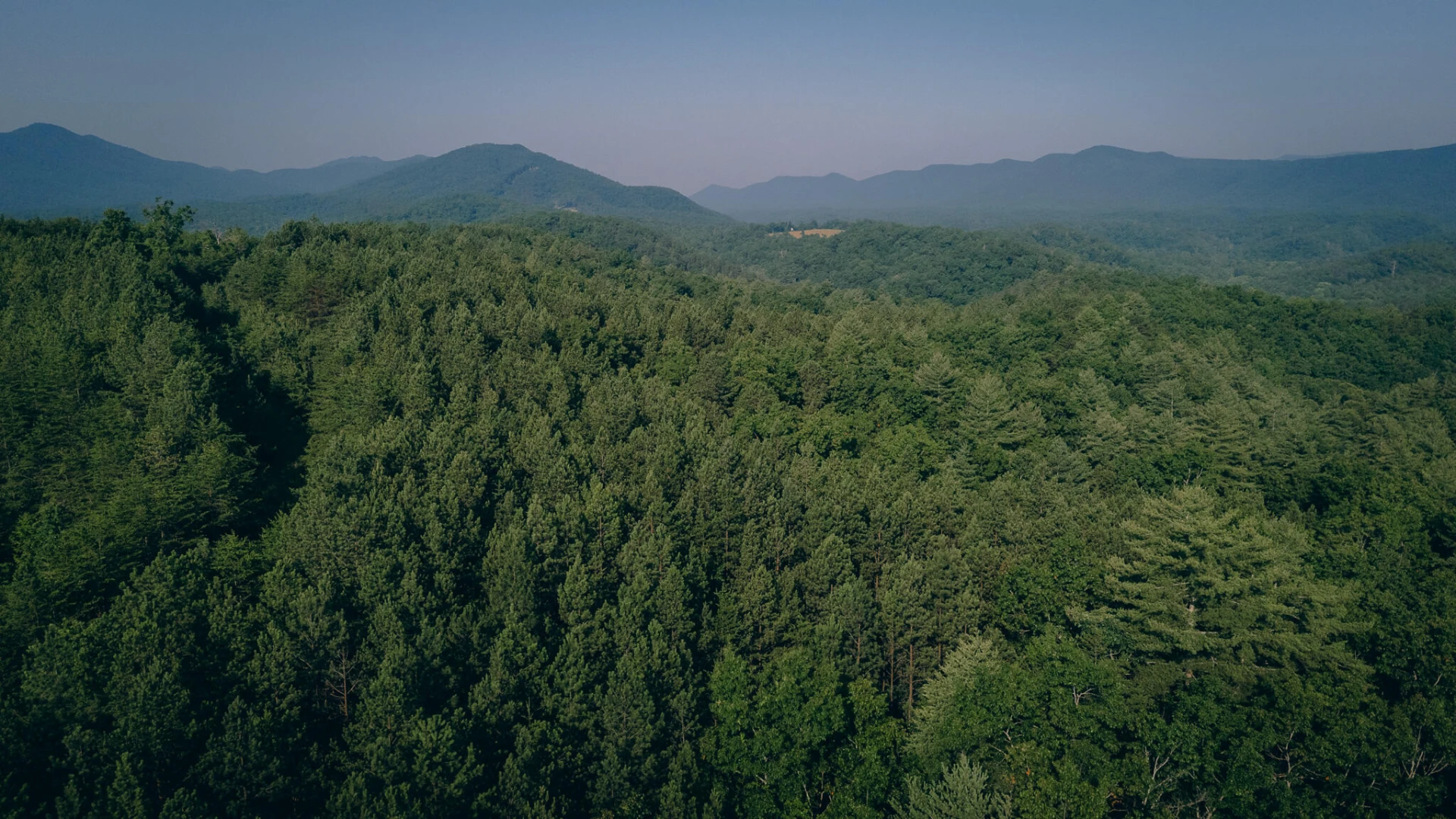 0 Sugar Tree Hollow RD - Photo 24