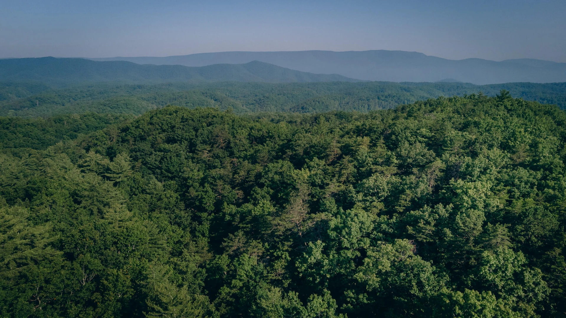 0 Sugar Tree Hollow RD - Photo 25