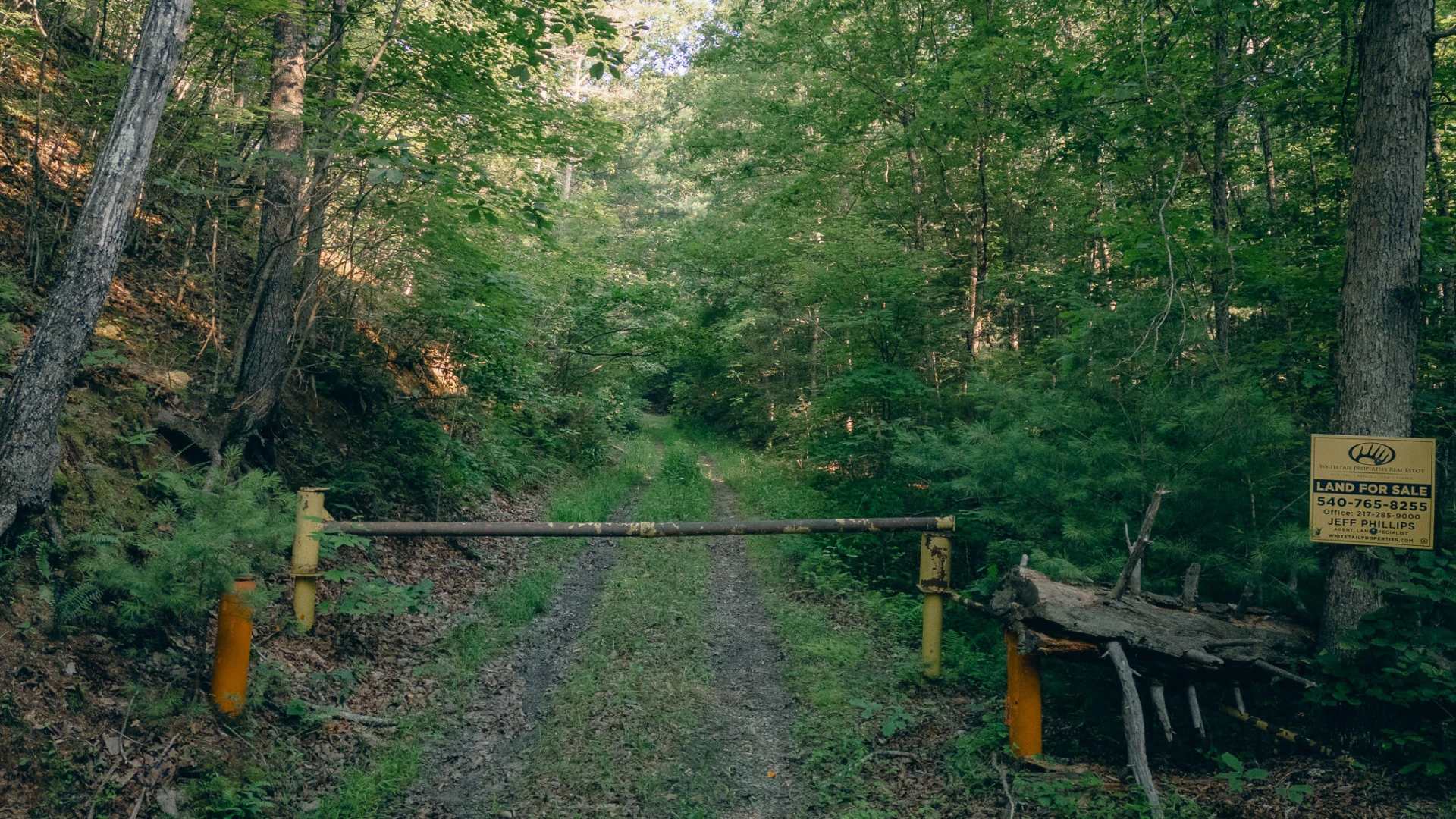 0 Sugar Tree Hollow RD - Photo 26