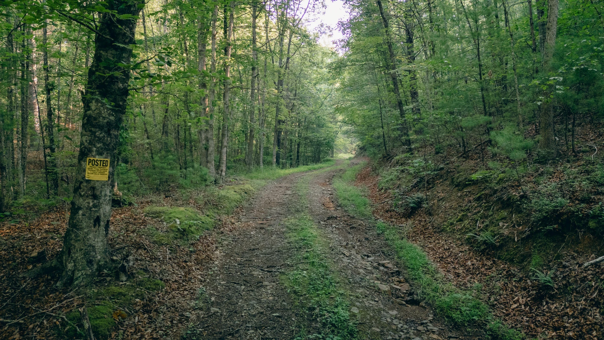 0 Sugar Tree Hollow RD - Photo 27