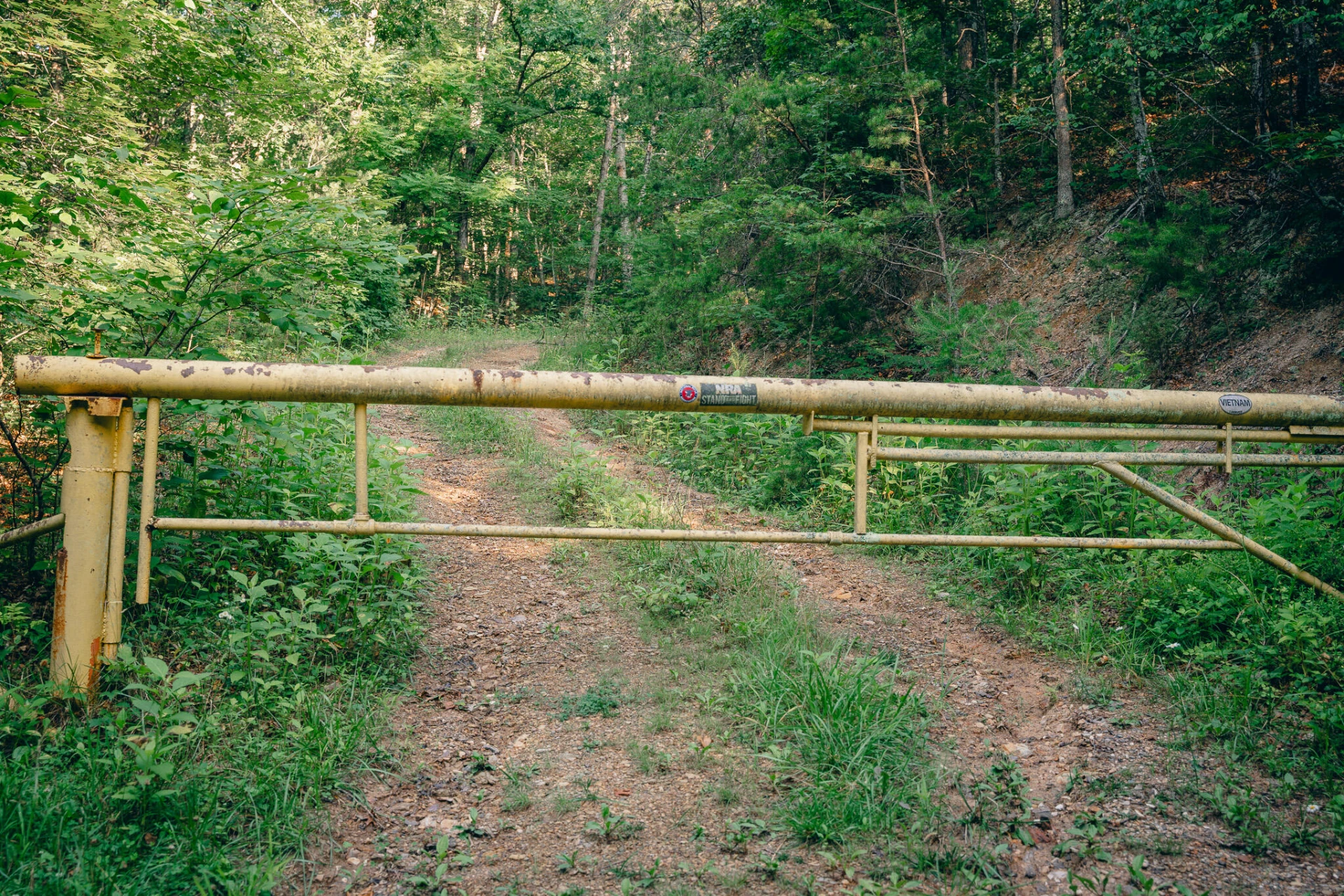 0 Sugar Tree Hollow RD - Photo 28