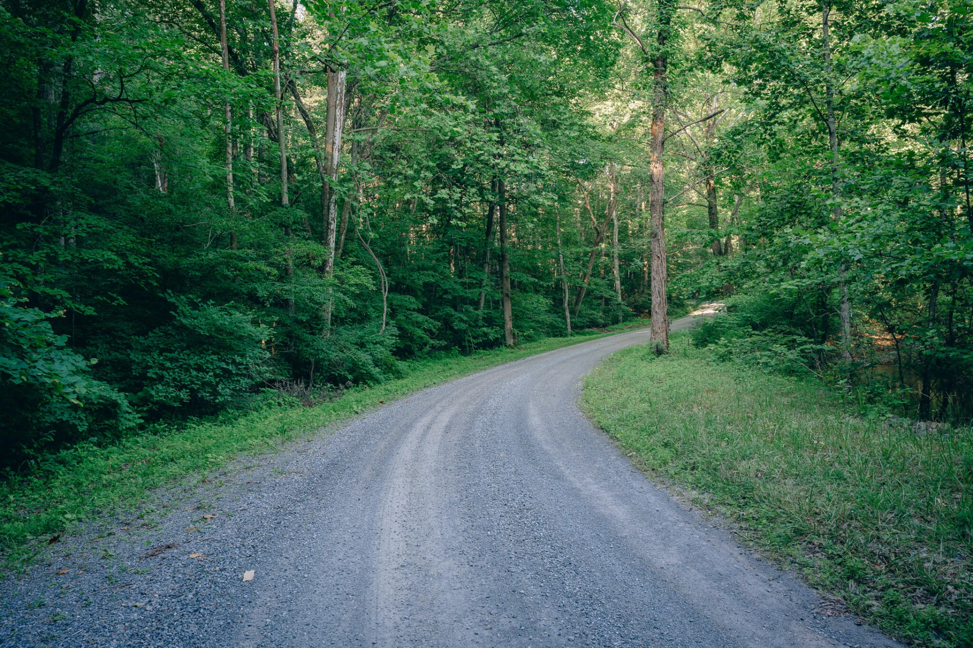 0 Sugar Tree Hollow RD - Photo 29