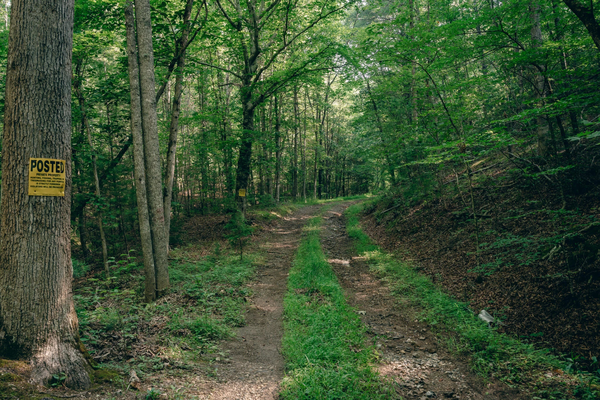 0 Sugar Tree Hollow RD - Photo 3