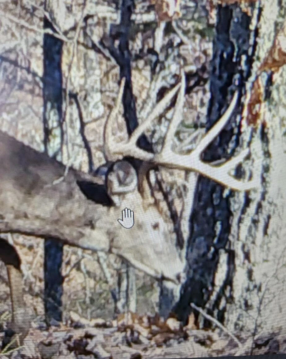 0 Sugar Tree Hollow RD - Photo 31