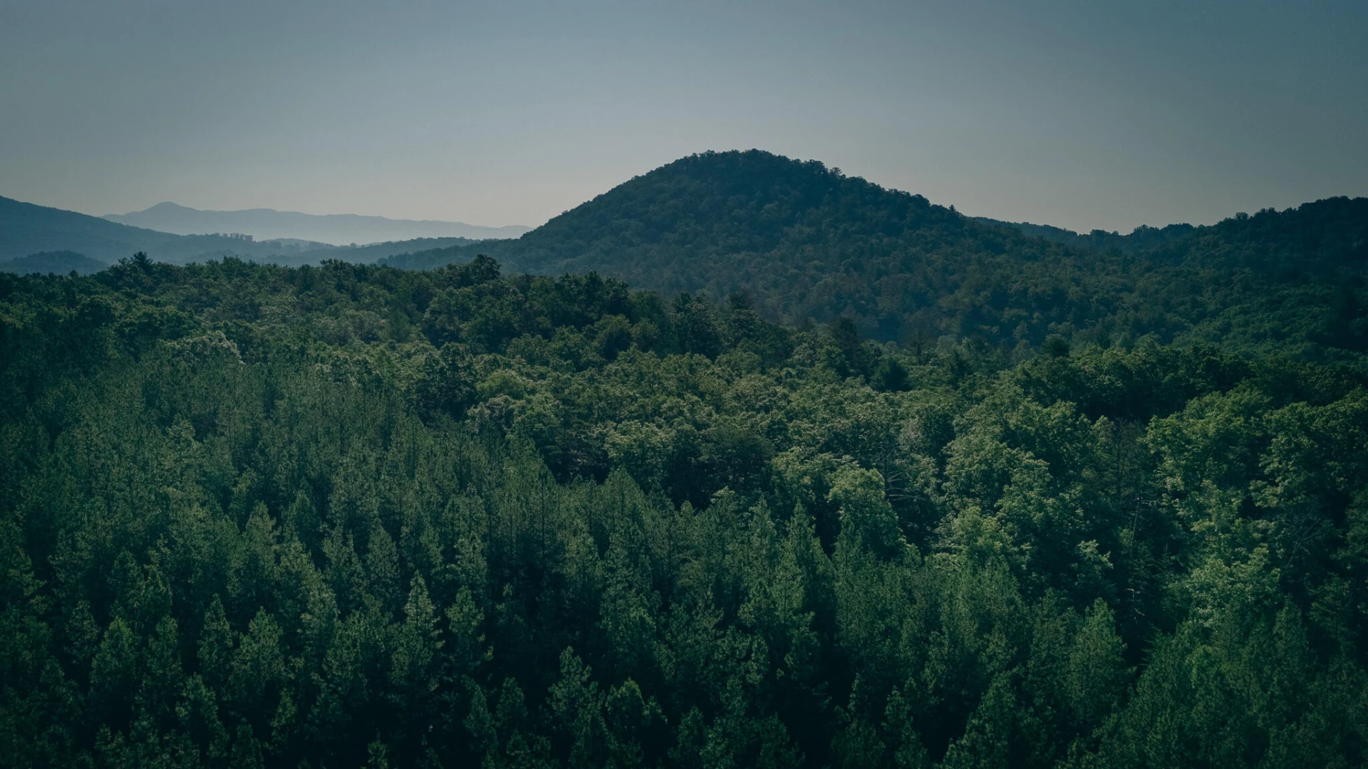 0 Sugar Tree Hollow RD - Photo 6