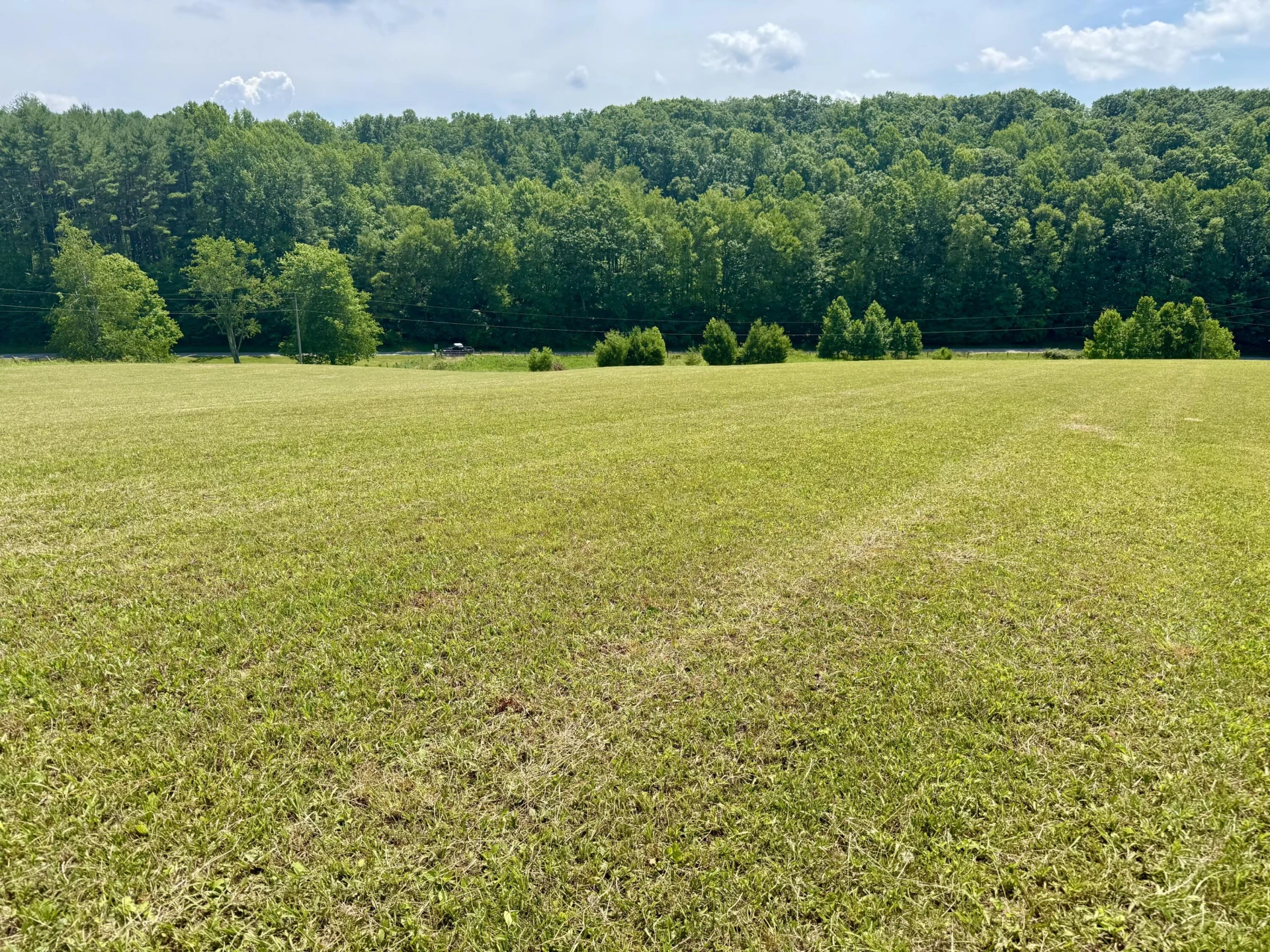 Lot 3 Roberson Mill RD - Photo 2