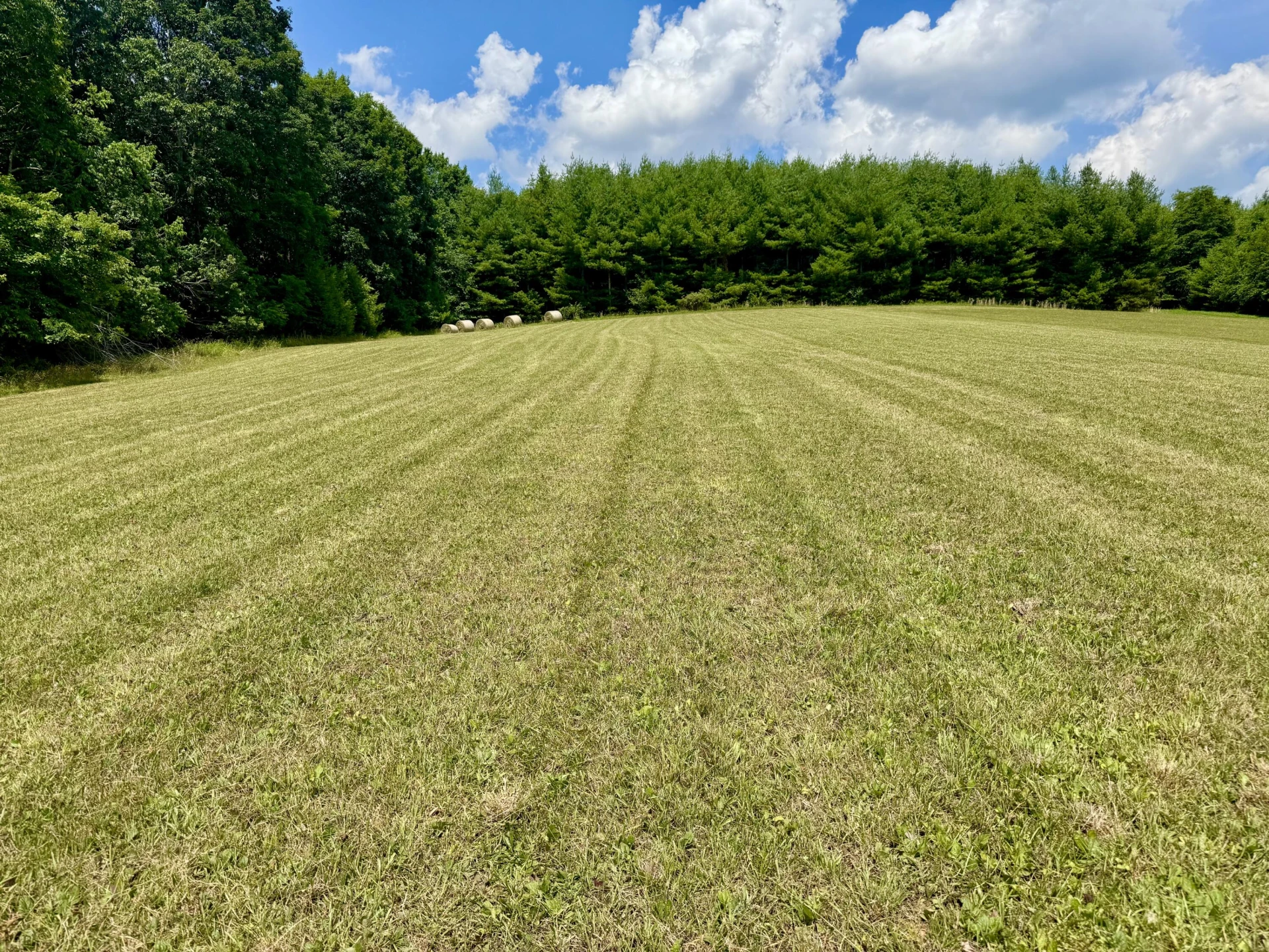 Lot 3 Roberson Mill RD - Photo 3