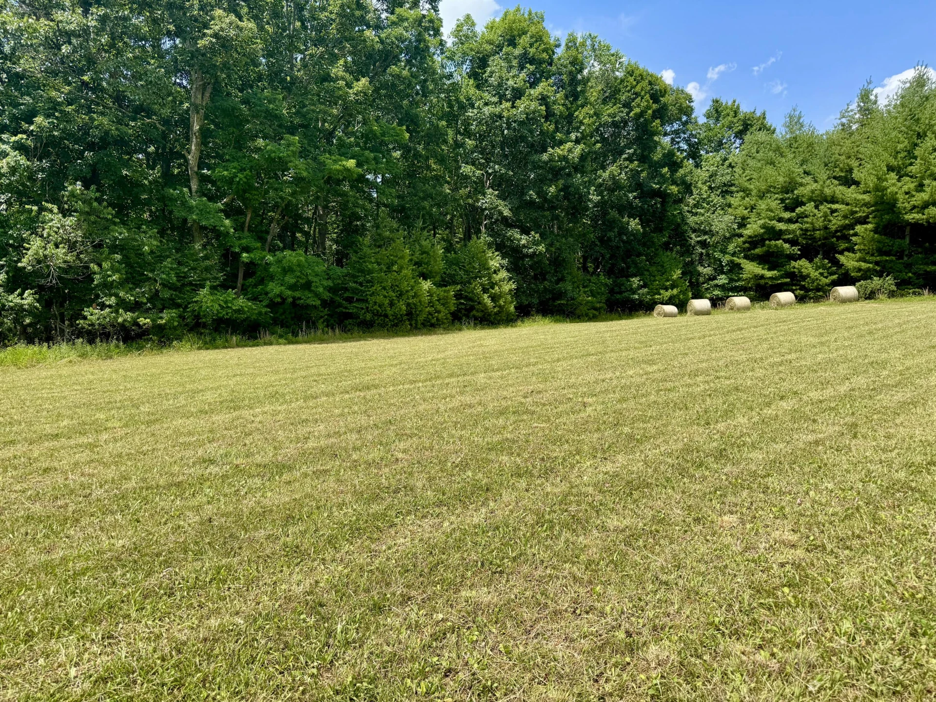 Lot 3 Roberson Mill RD - Photo 4