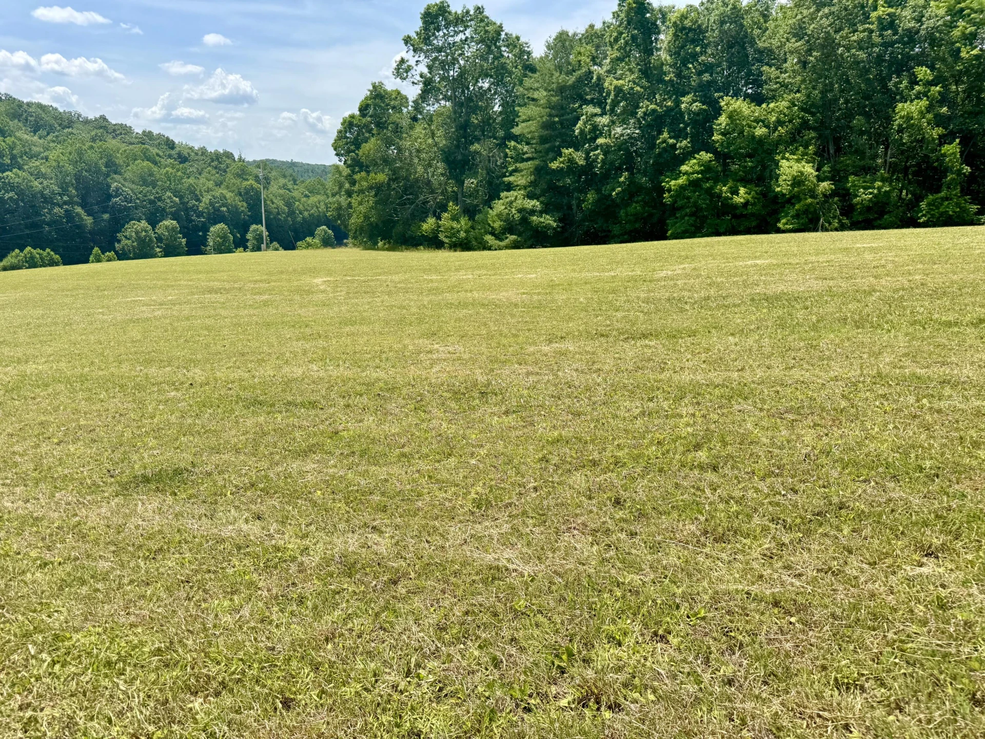 Lot 3 Roberson Mill RD - Photo 6