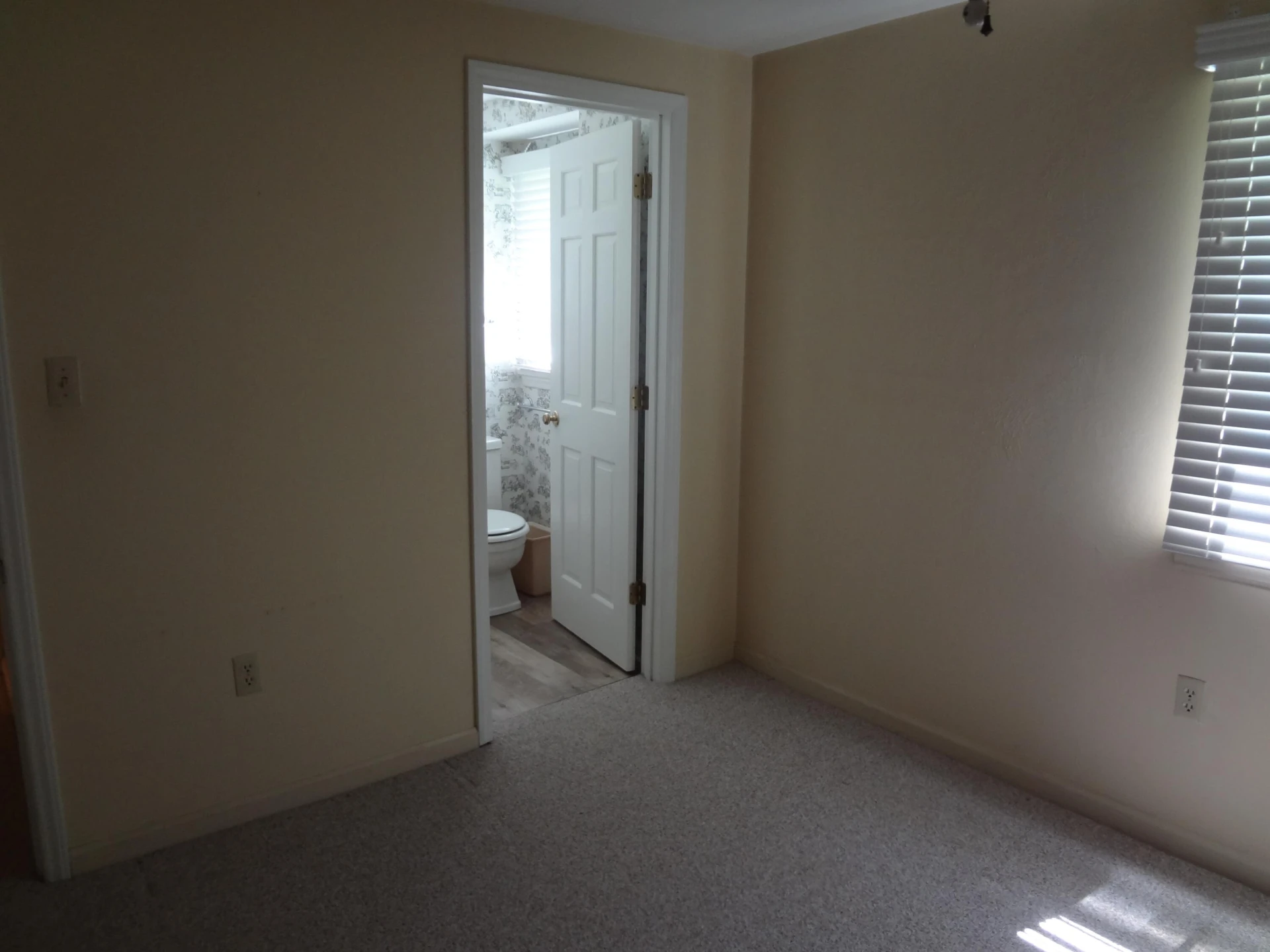 6341 Christie LN - Photo 43