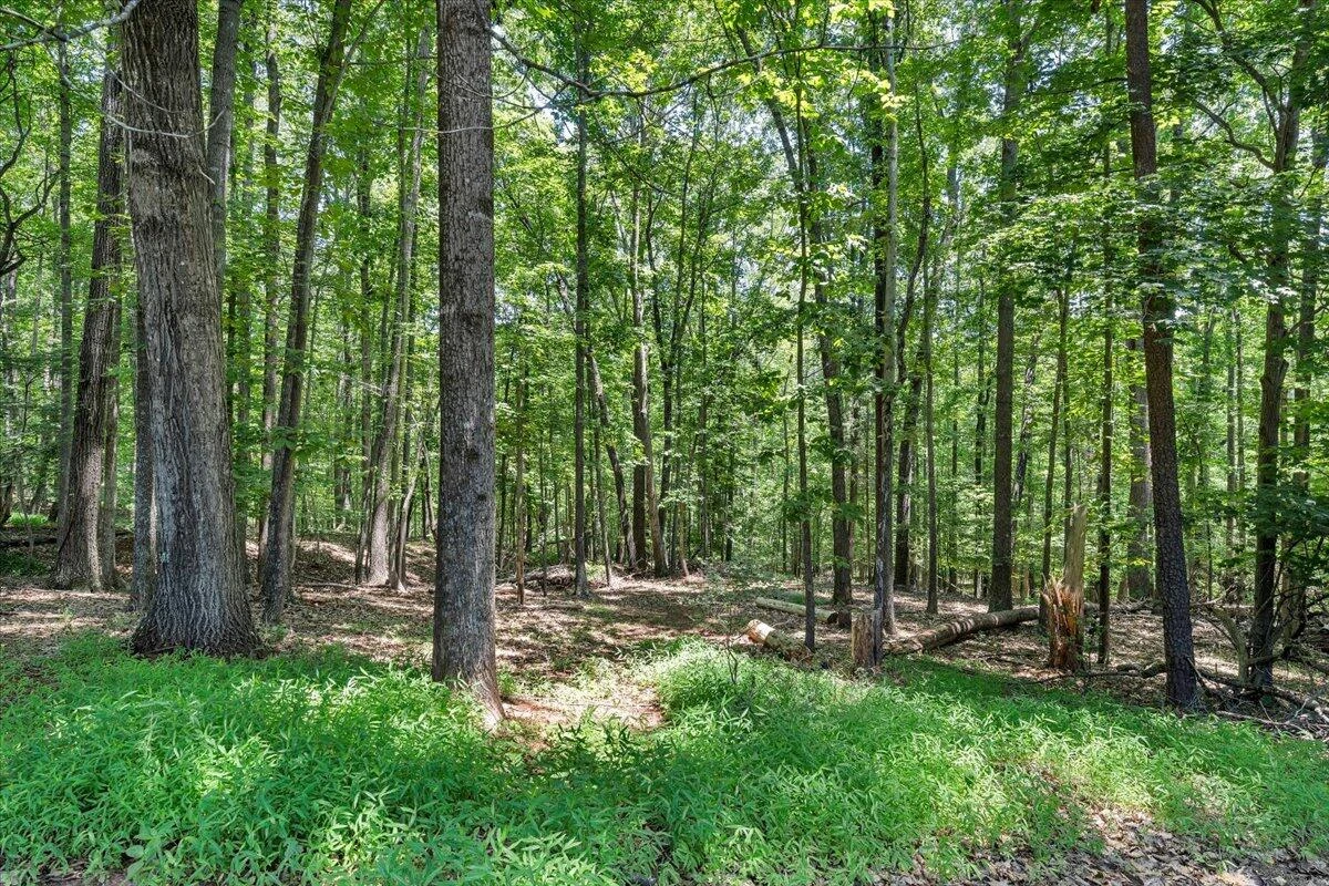 265 Shedd LN - Photo 63