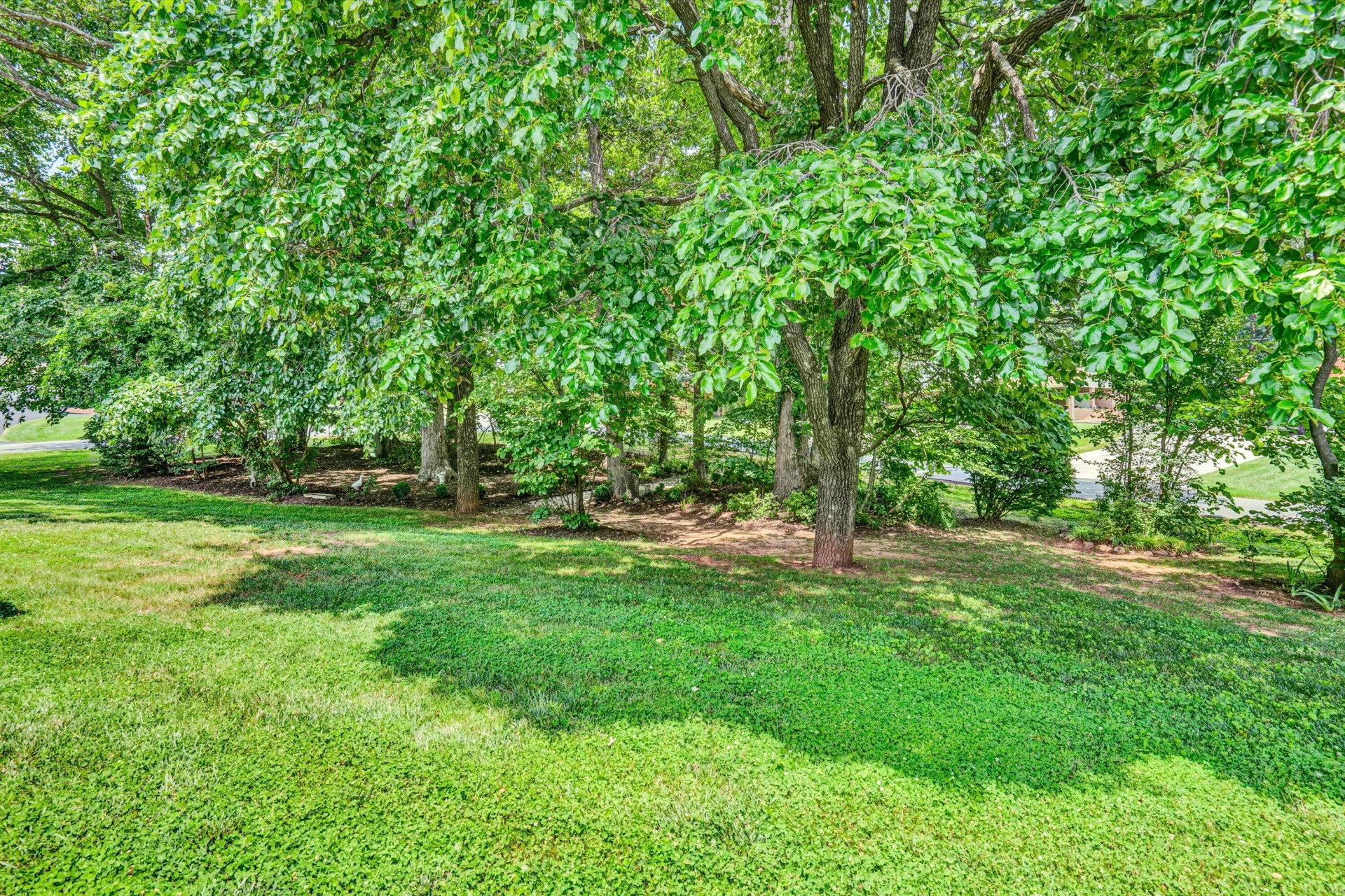 120 Vantage RD - Photo 51