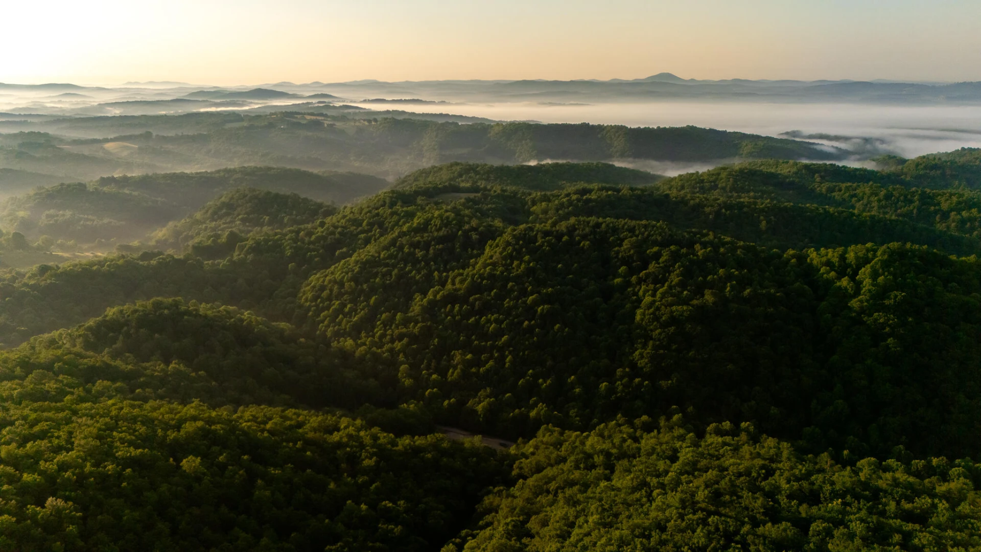 0 Macks Mountain RD - Photo 12