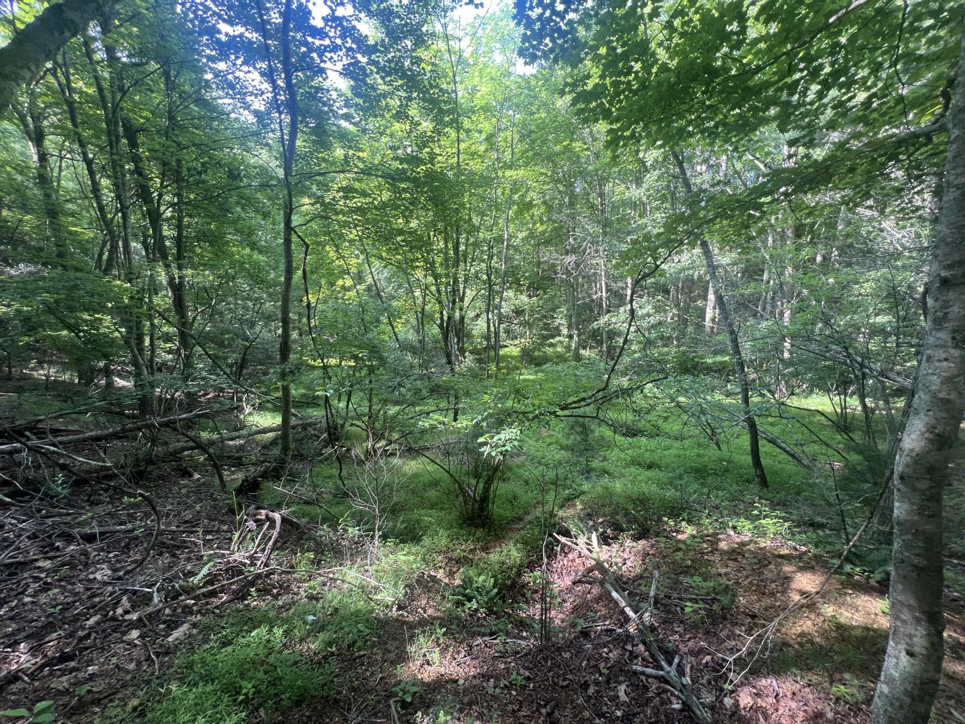 0 Macks Mountain RD - Photo 15
