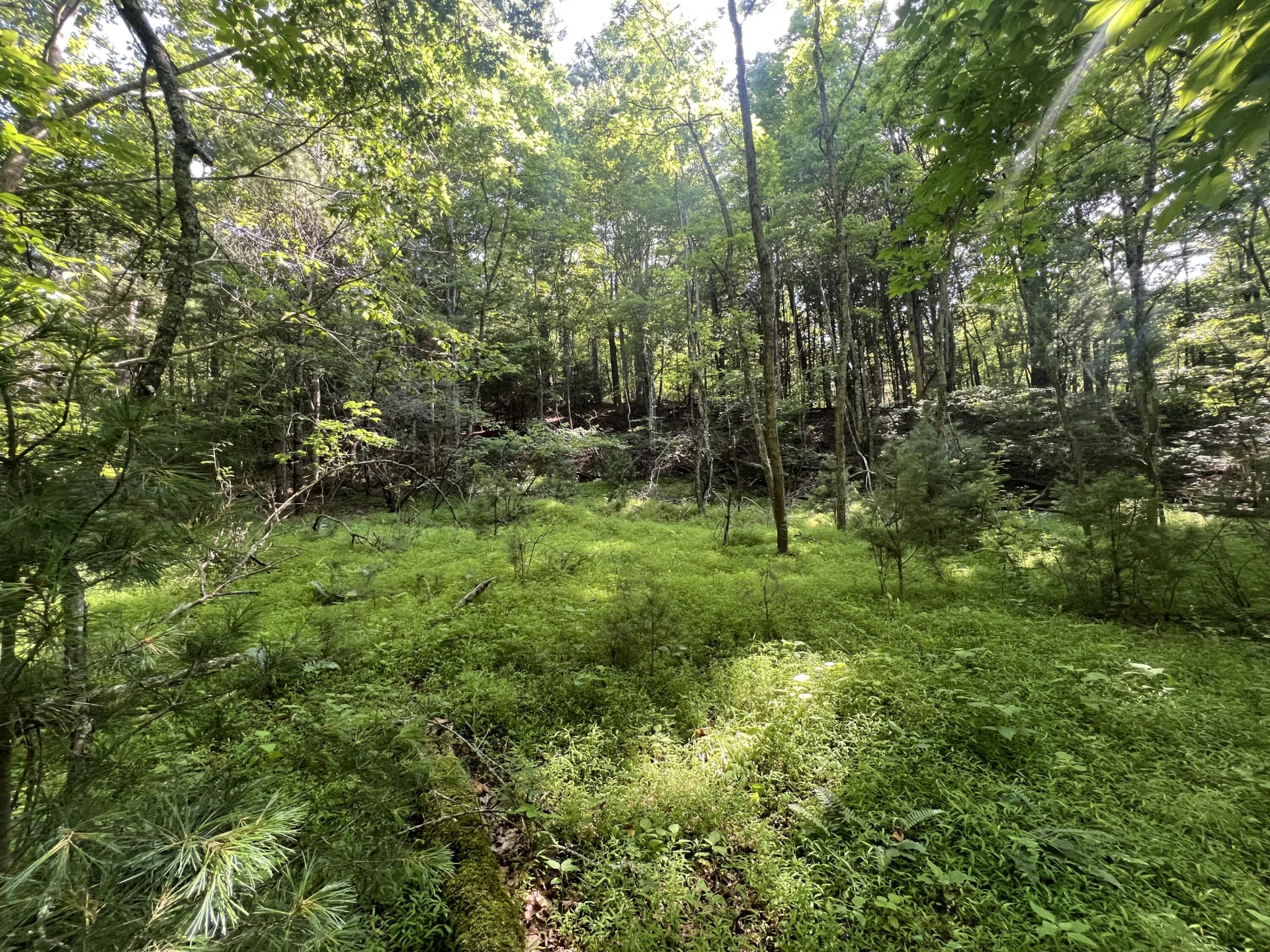 0 Macks Mountain RD - Photo 16