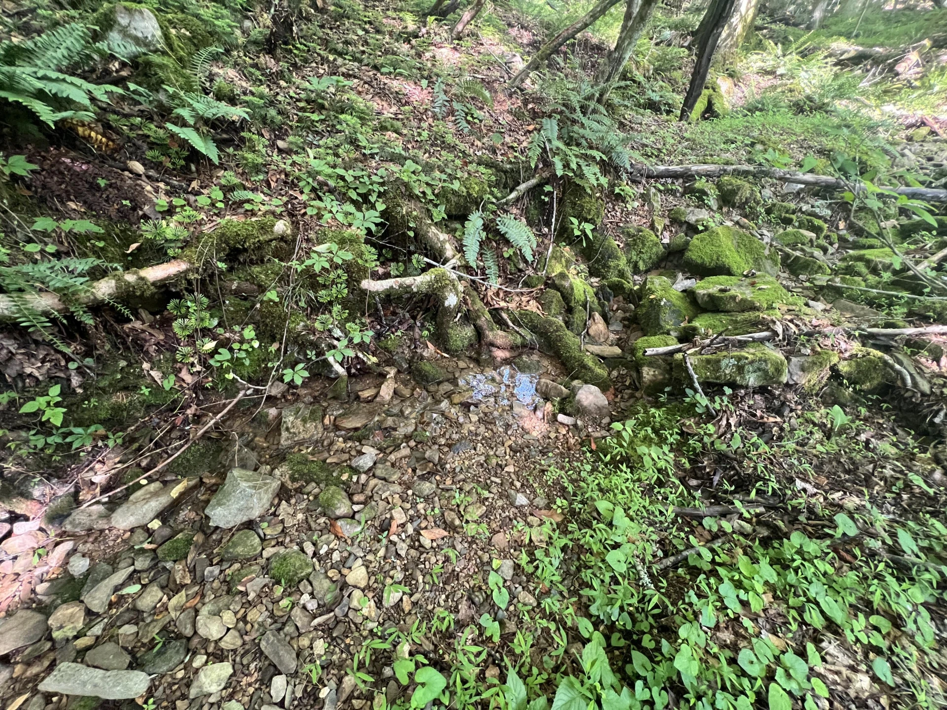 0 Macks Mountain RD - Photo 18