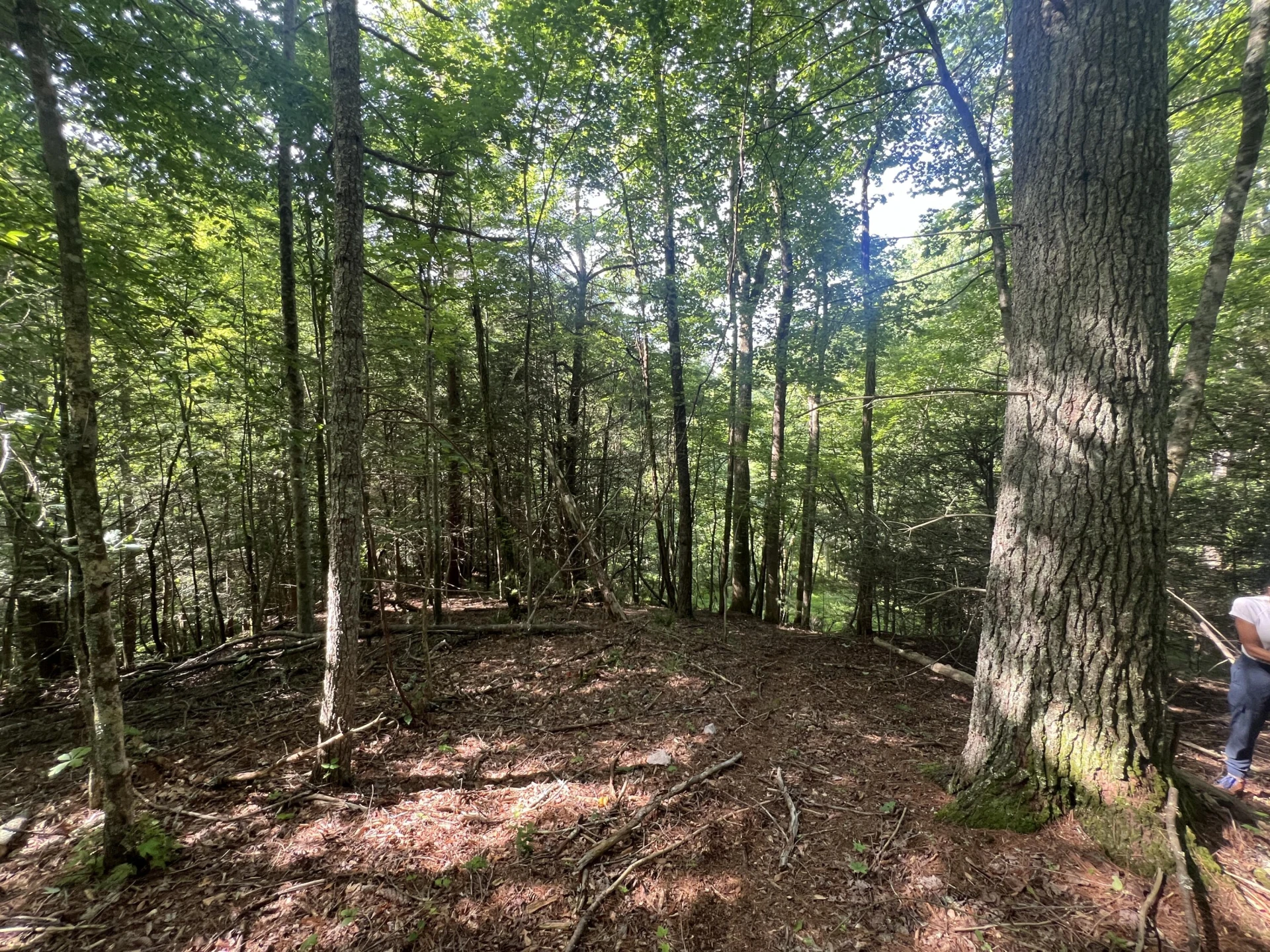 0 Macks Mountain RD - Photo 19