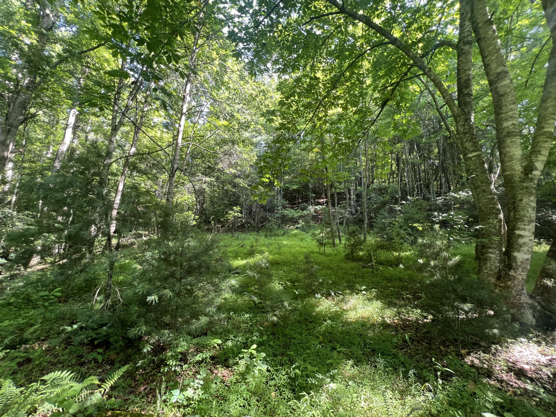 0 Macks Mountain RD - Photo 20