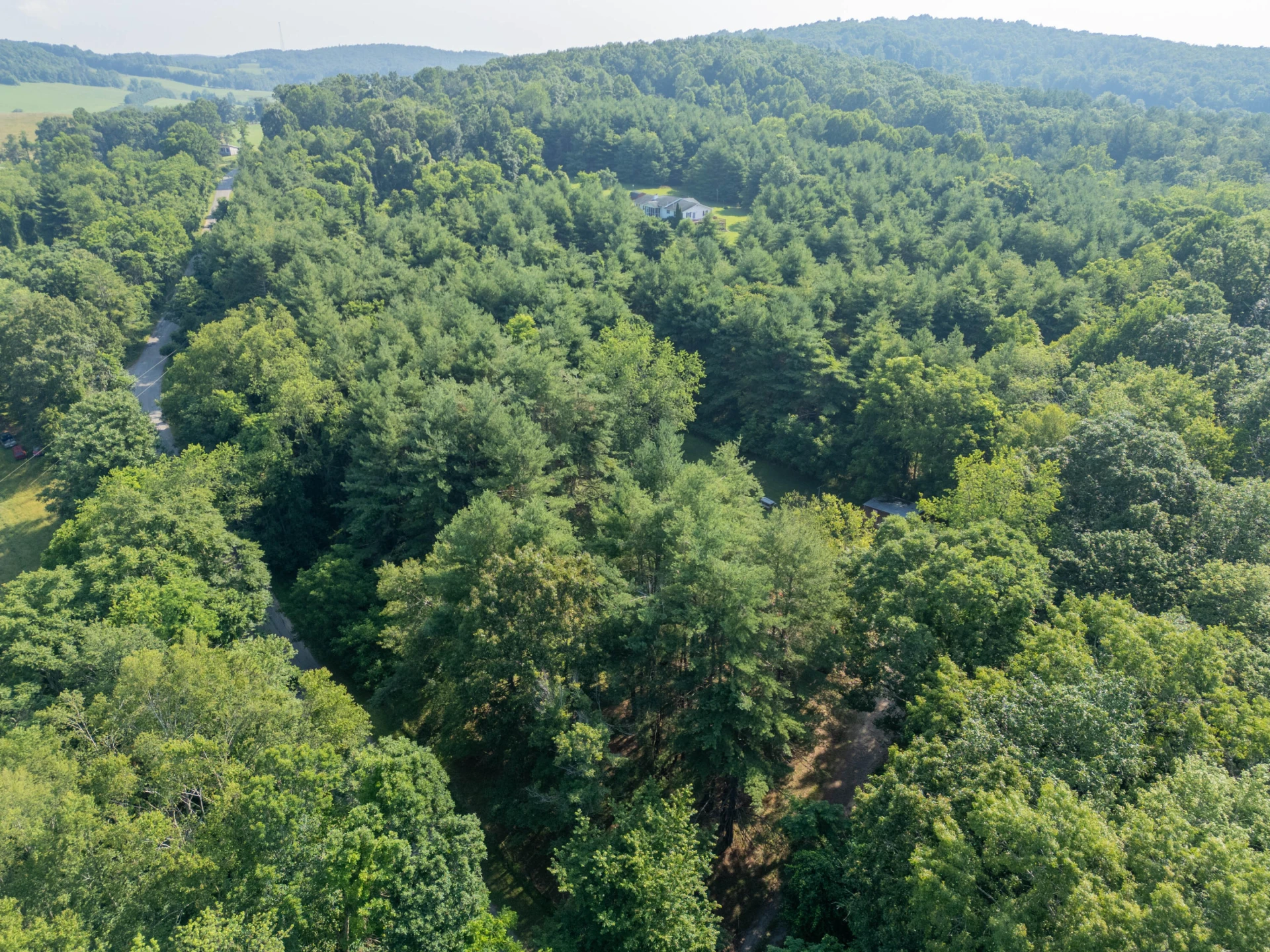 1571 Cannady School RD - Photo 42