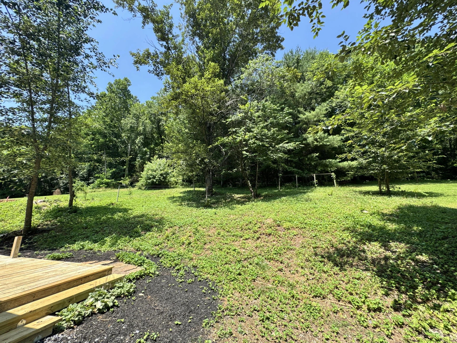 12429 Lee Hwy - Photo 4