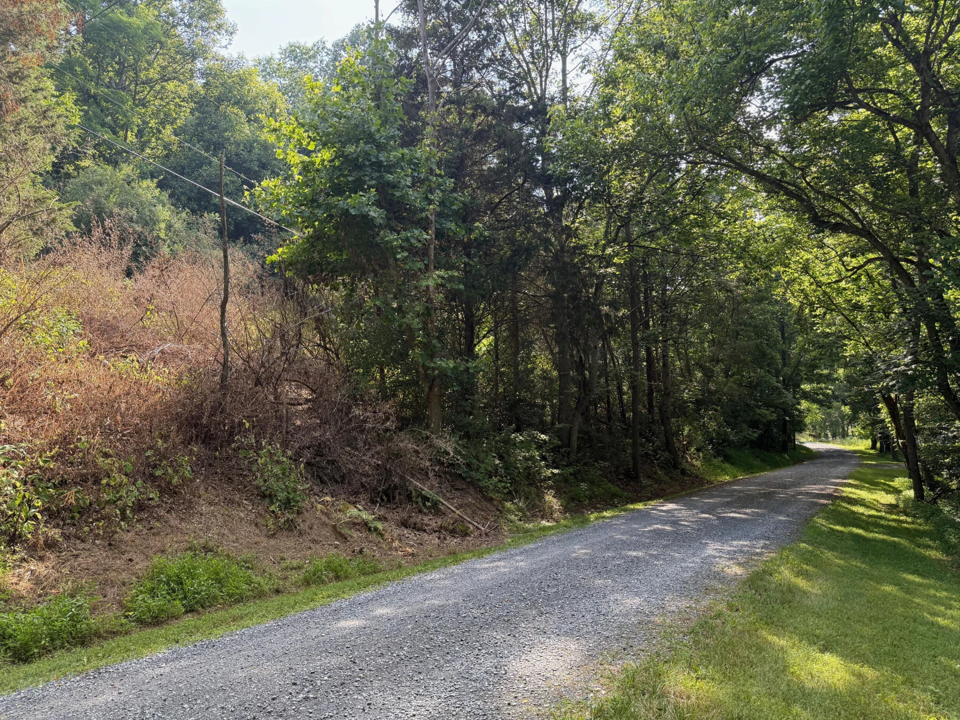 0 Baileywick LN - Photo 2