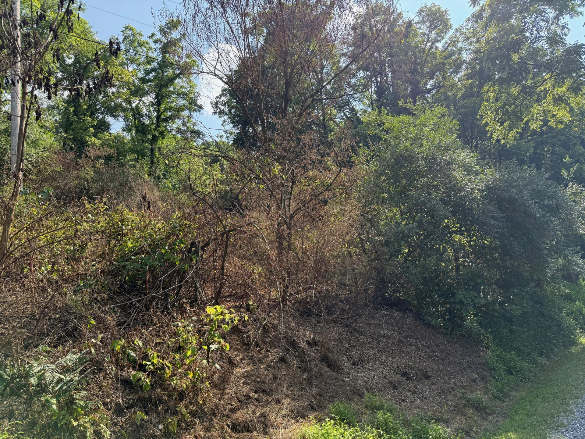 0 Baileywick LN - Photo 5