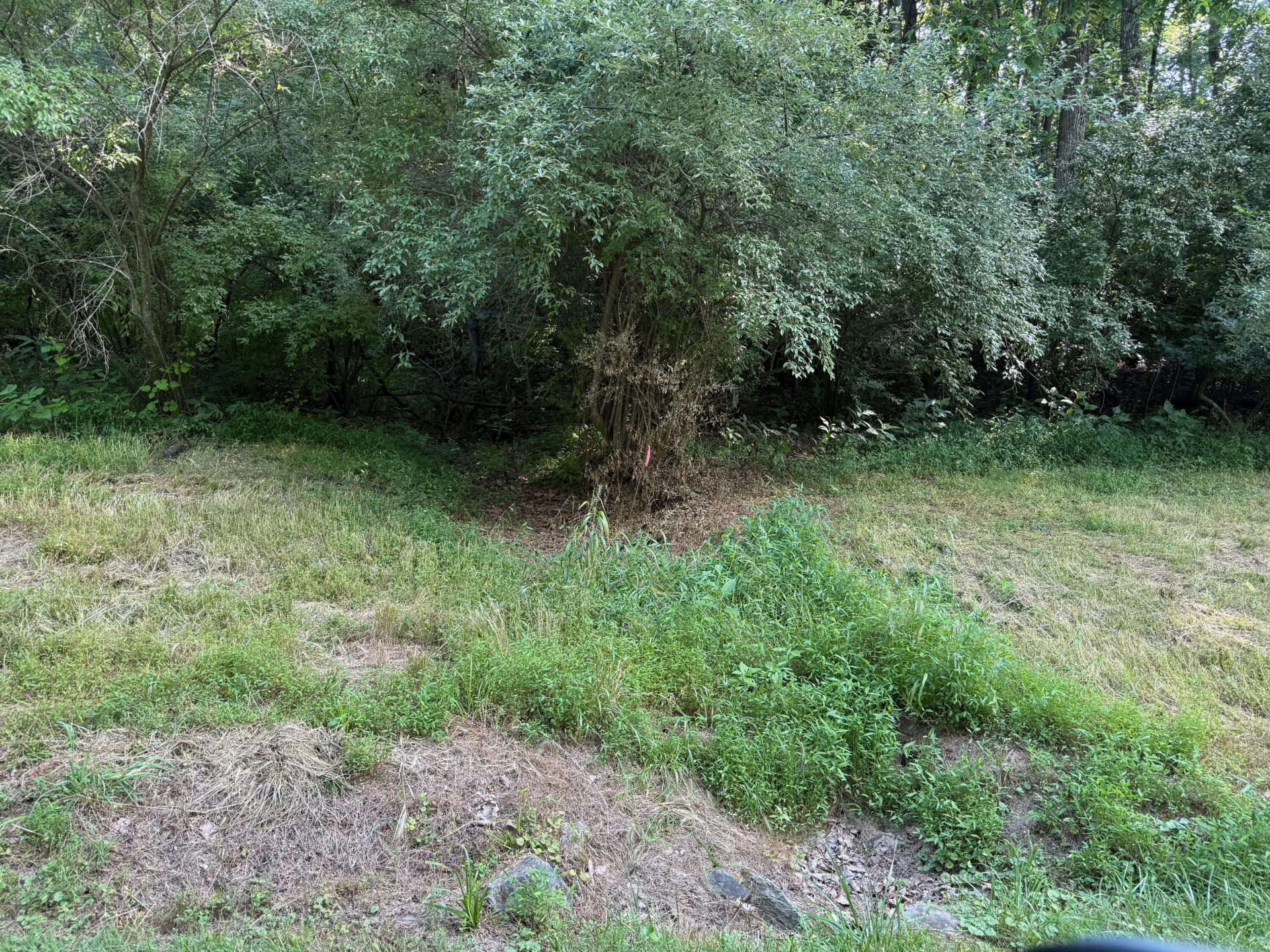 0 Baileywick LN - Photo 6