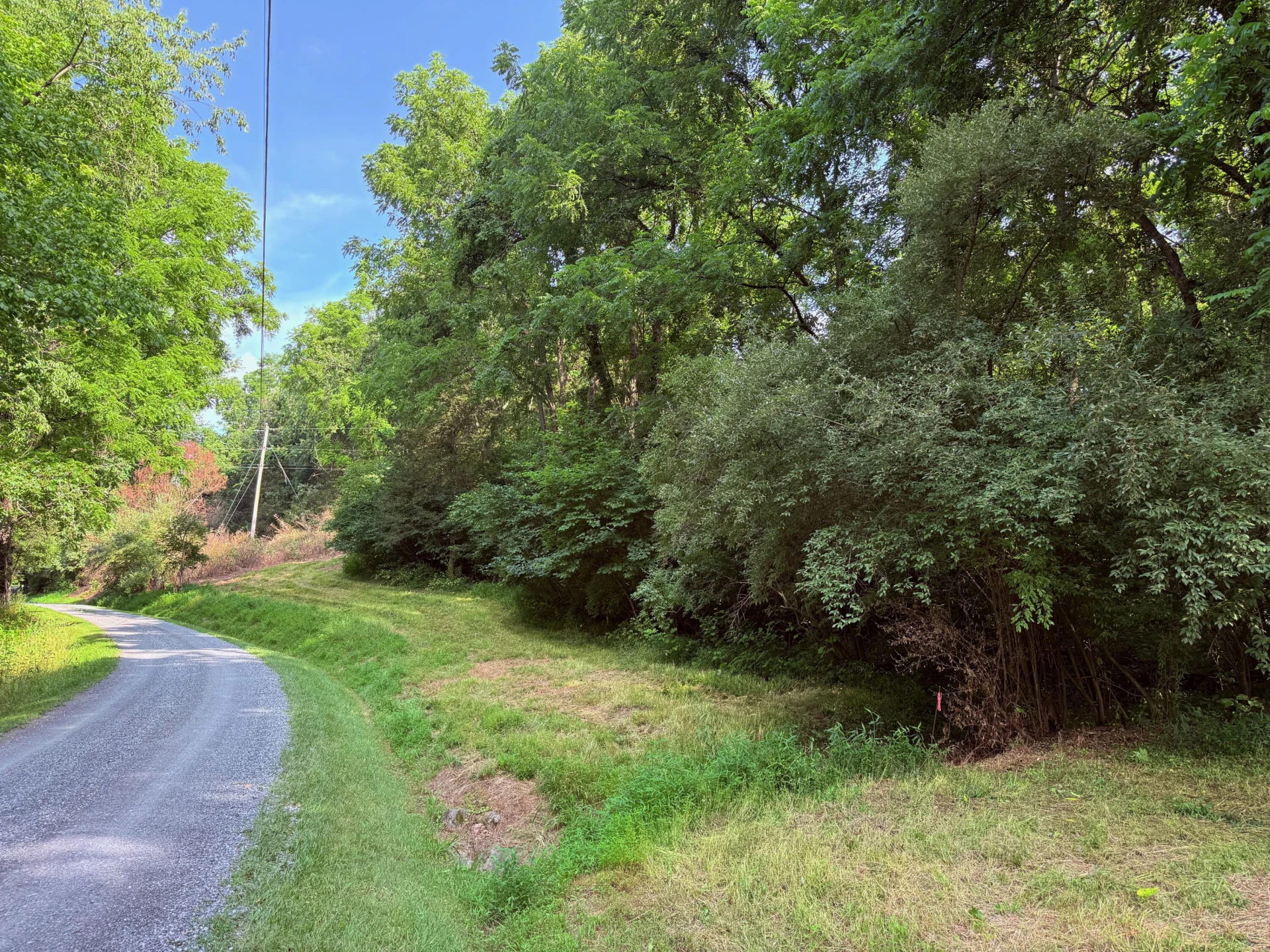 0 Baileywick LN - Photo 7