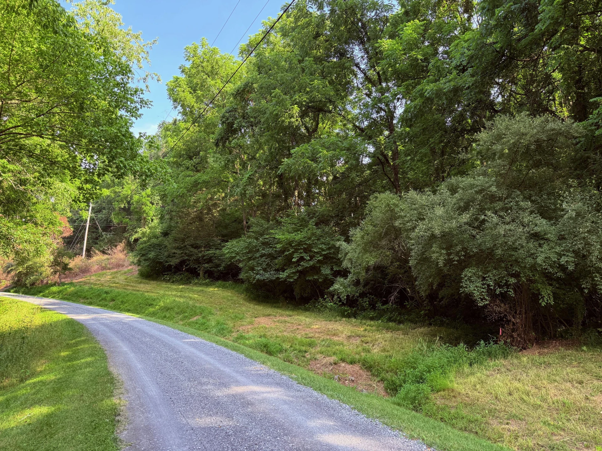 0 Baileywick LN - Photo 8