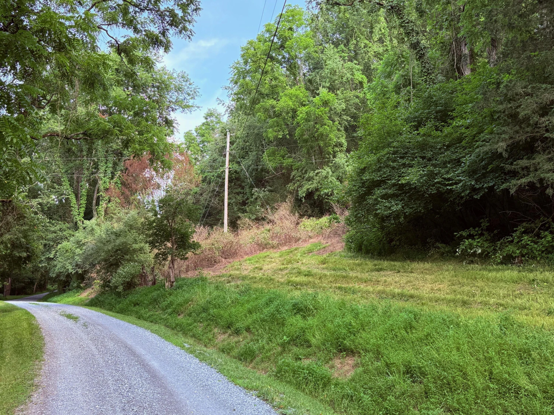 0 Baileywick LN - Photo 9