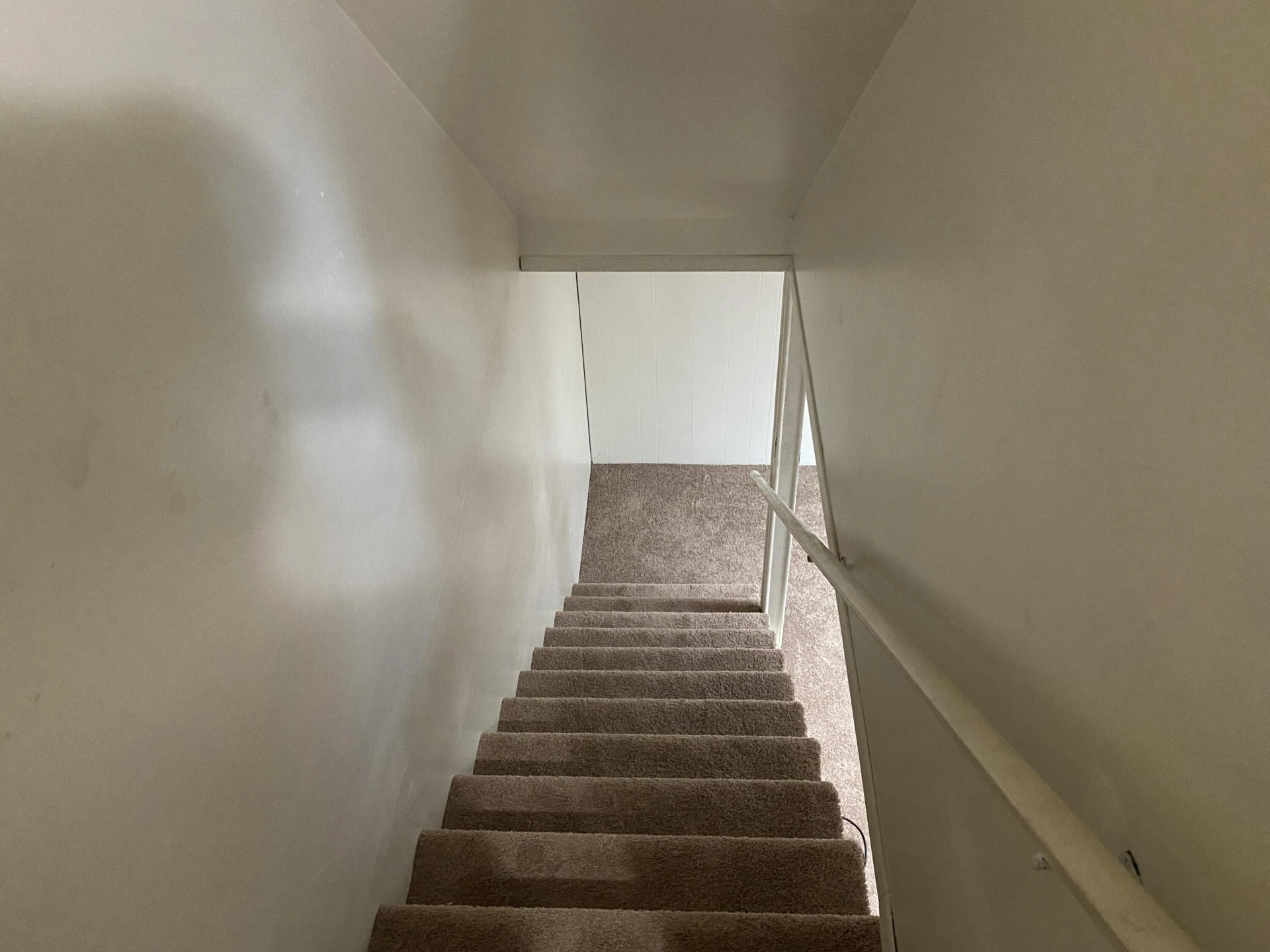 708 Welton Ave. AVE #708-710 - Photo 17